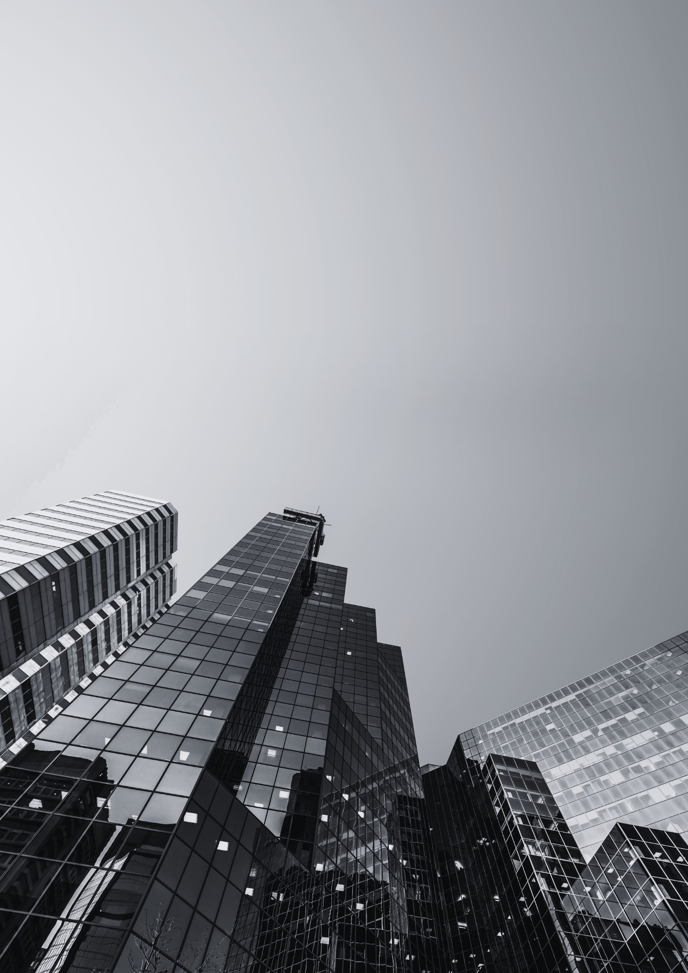 Corporate Performance & Leadership