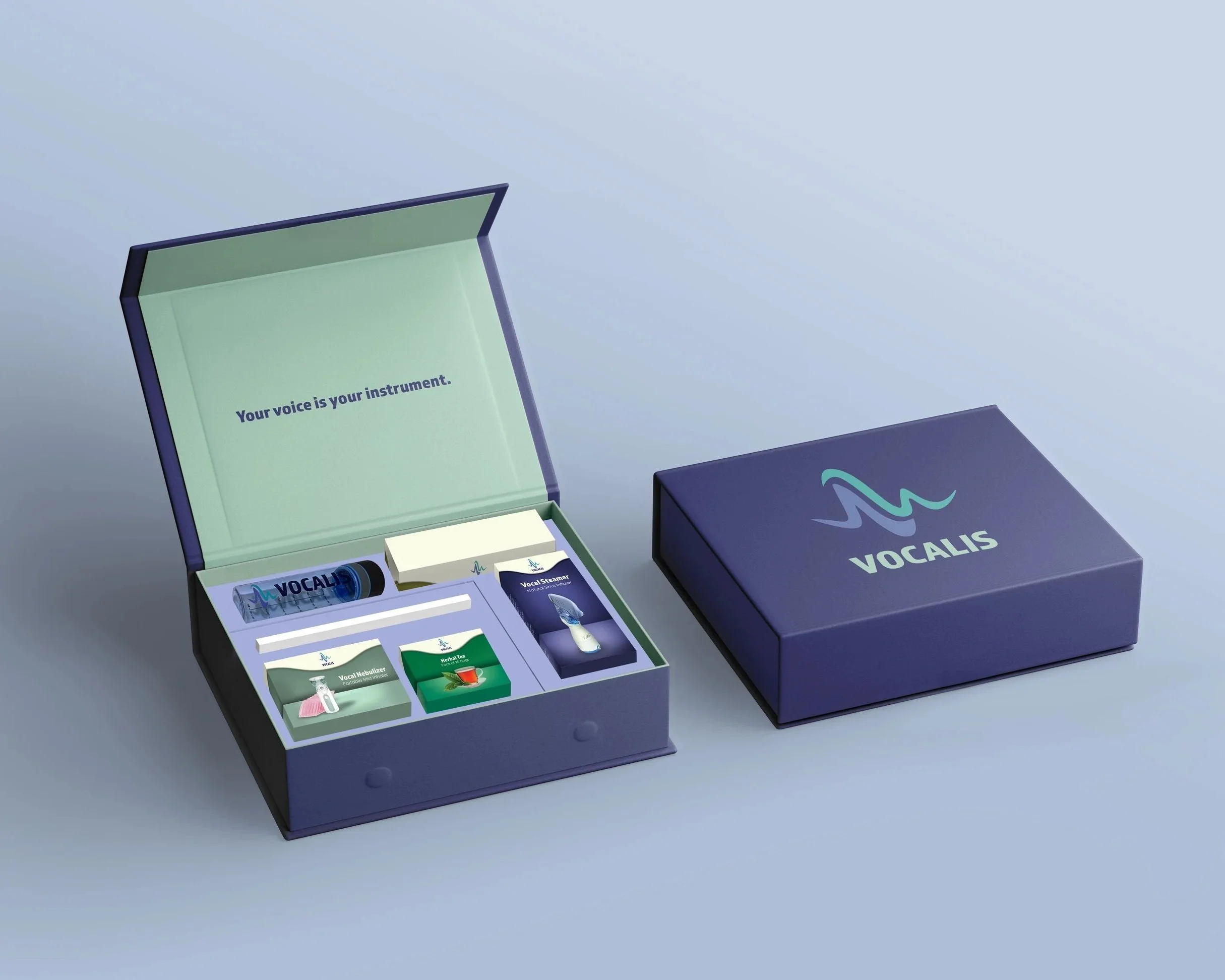 Vocalis-box-mockup.jpg