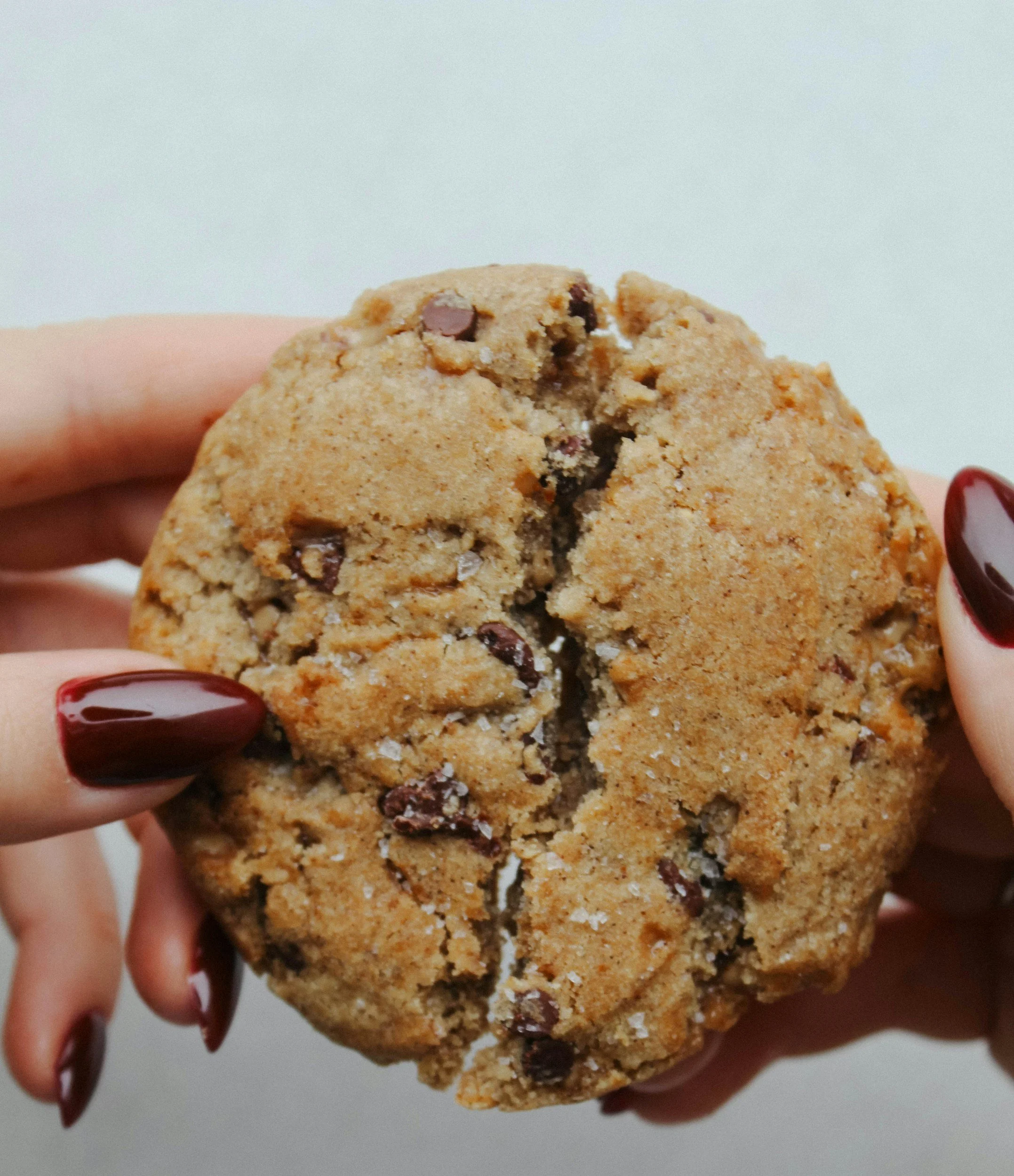Close-up of a person holding a large chocolate chip cookie with red-painted nails.
