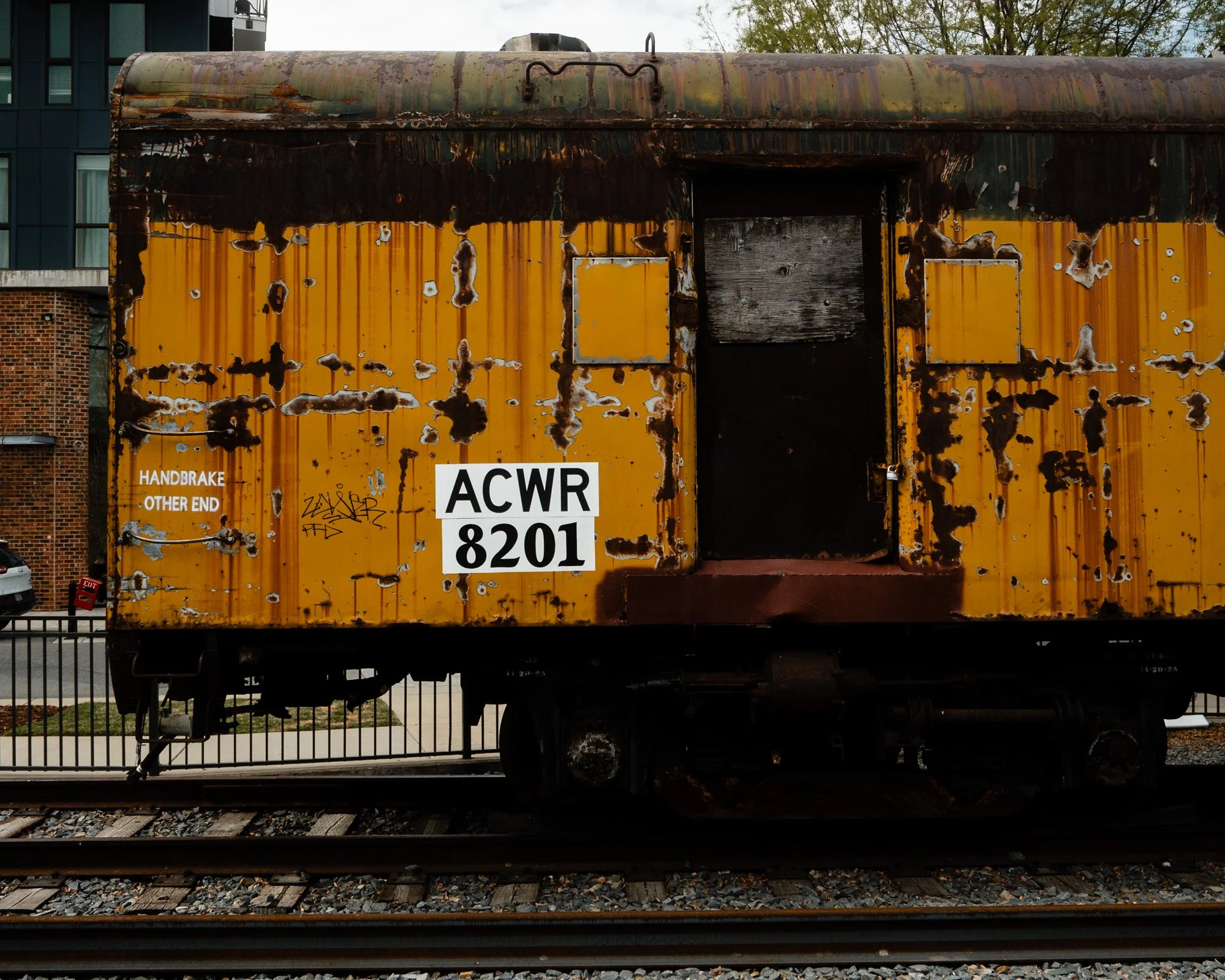 DSC07273.jpg