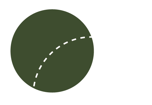 A dark green 3D sphere with a white dashed line crossing it diagonally.