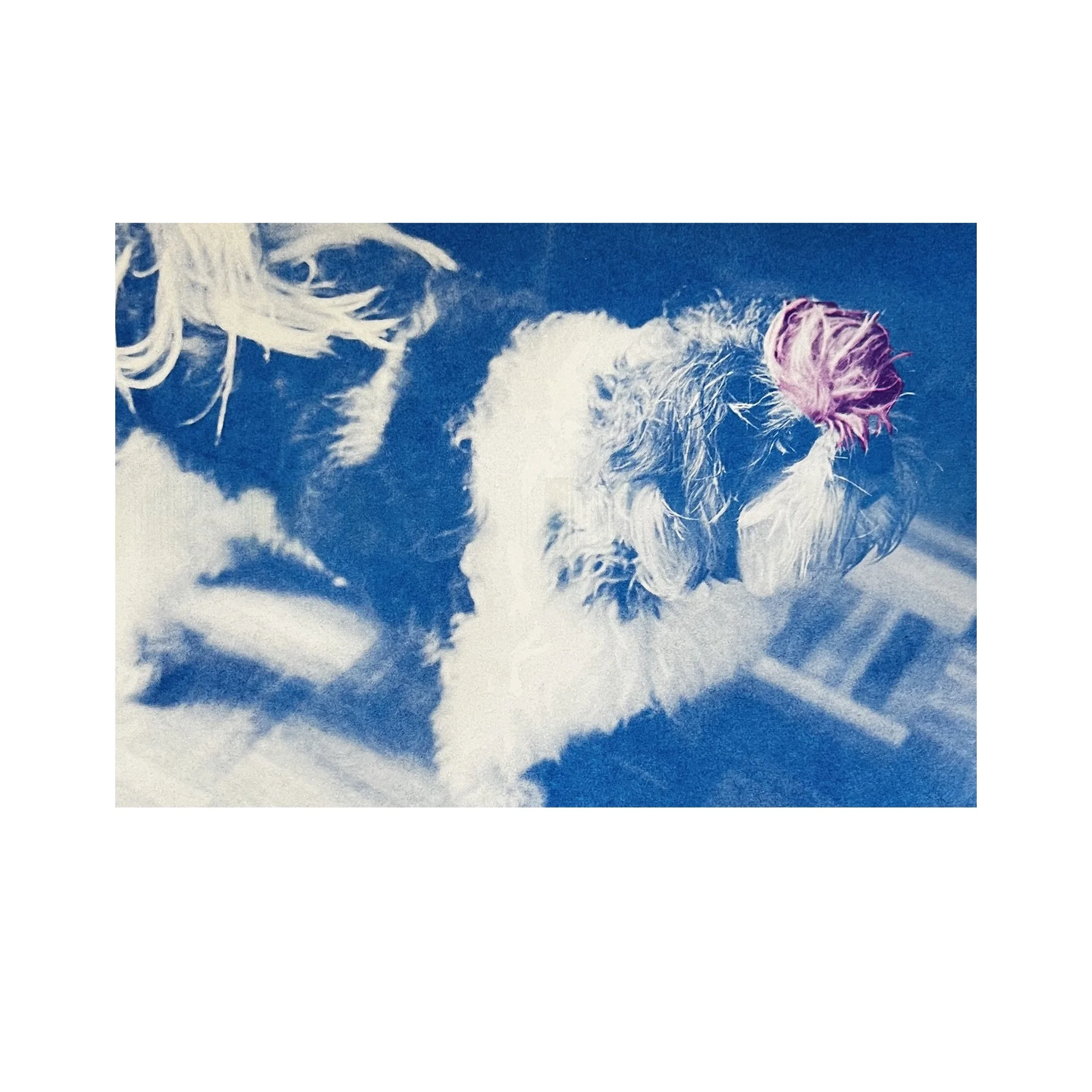 Livre signé et tirage en risographie