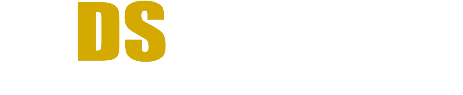 DS Security Solutions