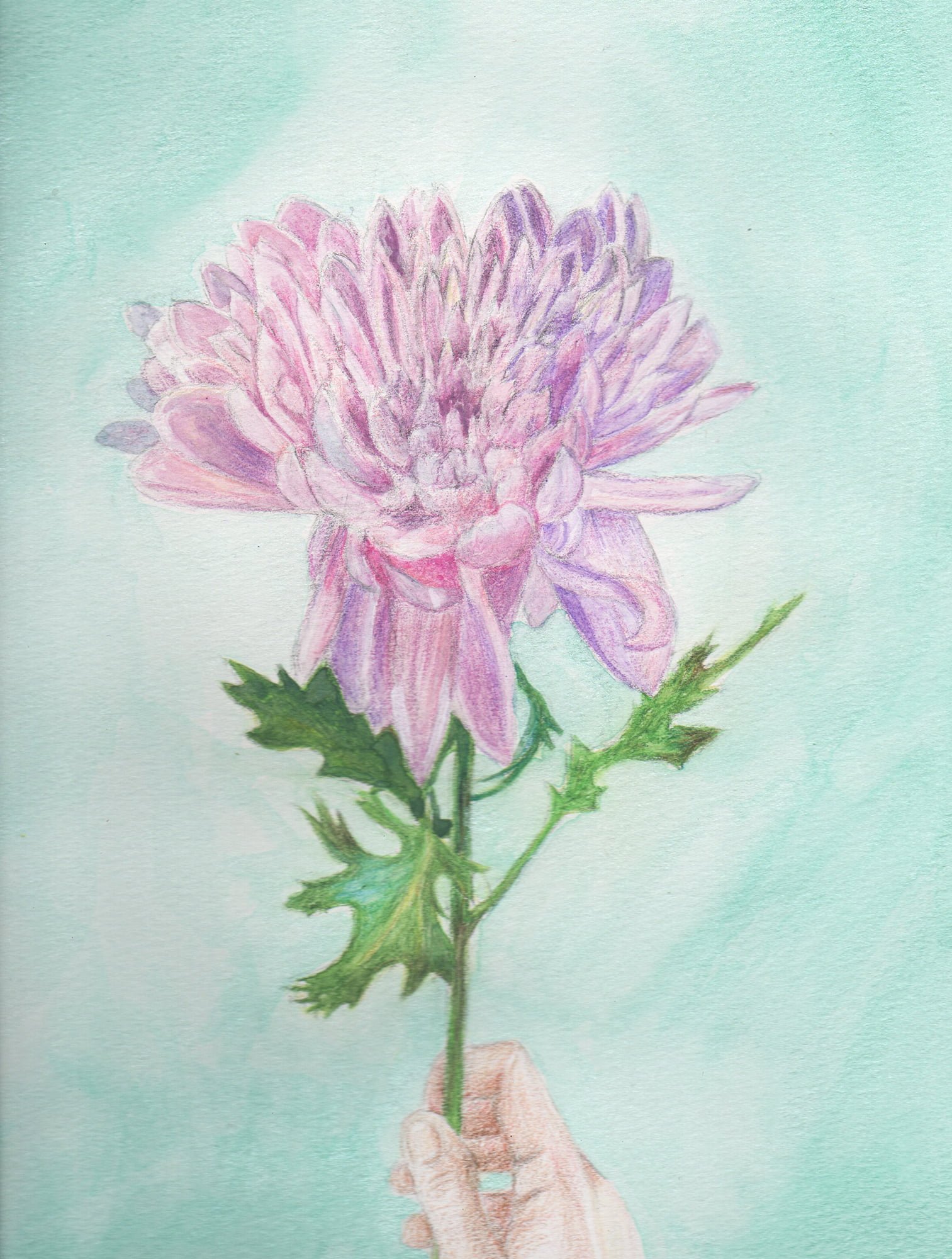 Lavender Dahlia