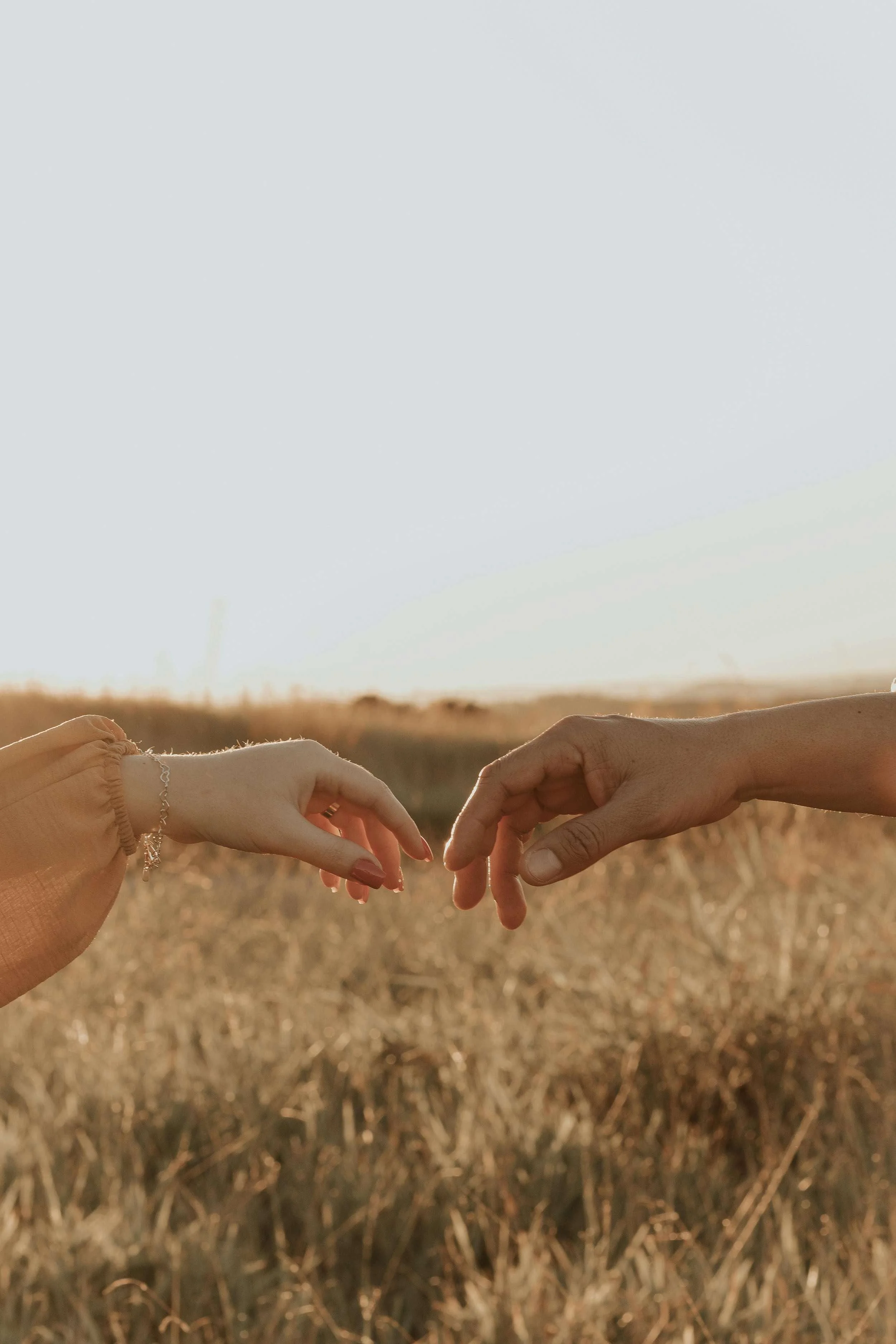 Two hands reaching to hold each other in a field