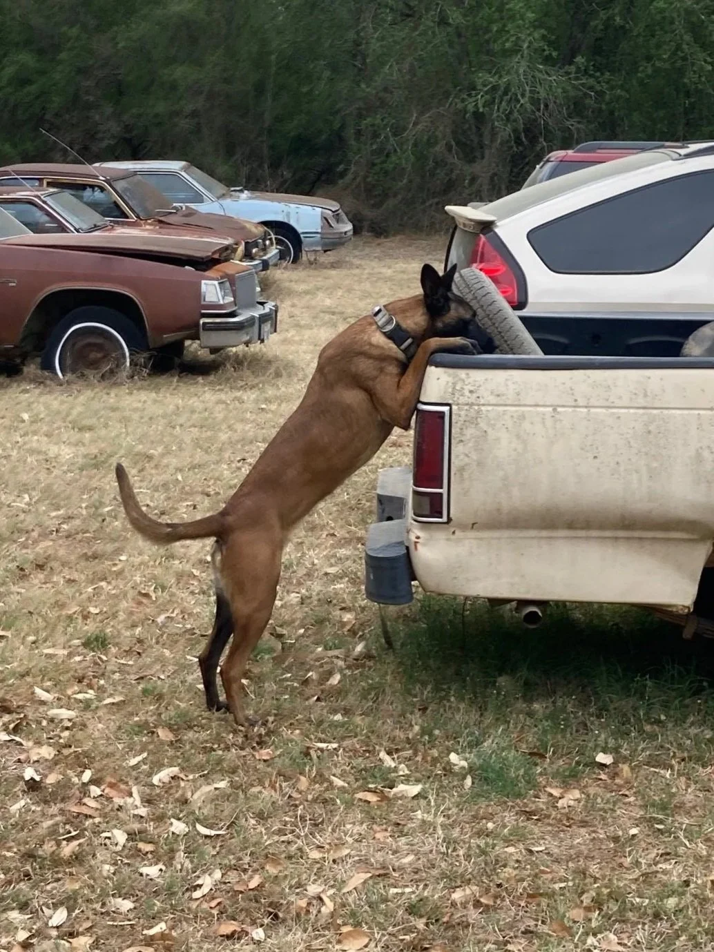 vehicle+search.jpg