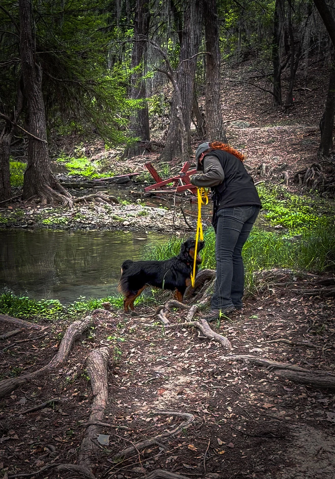 A person with red hair, wearing a gray cap, black jacket, and gray pants, stands near a small body of water in a forest, holding a red device, with a black and brown dog on a yellow leash beside them.