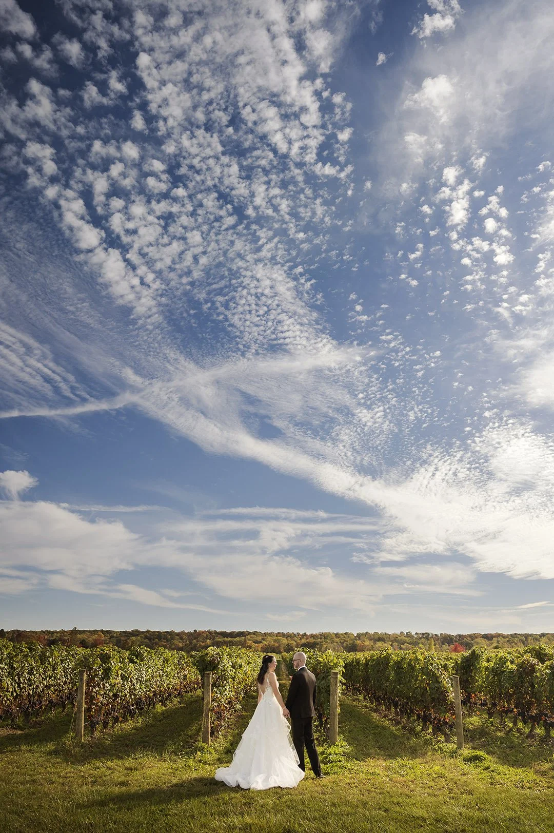 Vineyard wedding