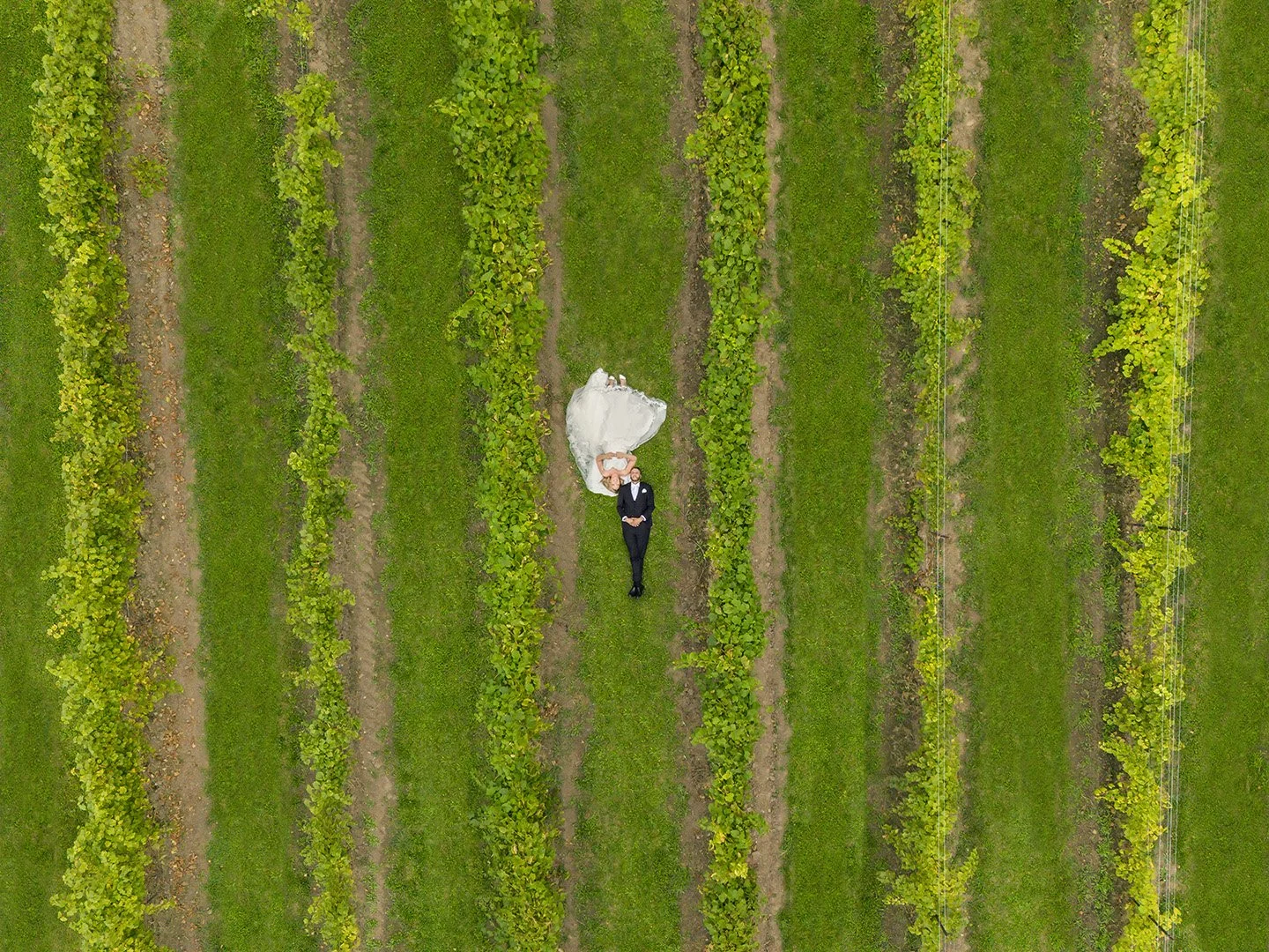 vineyard wedding drone photo