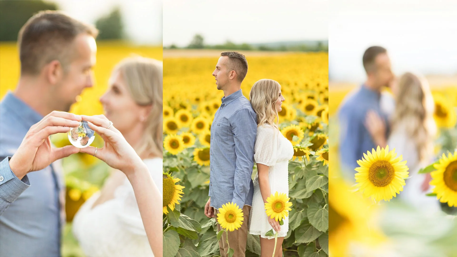 Sunflower field photography, Davis Family Farm Engagement Photos