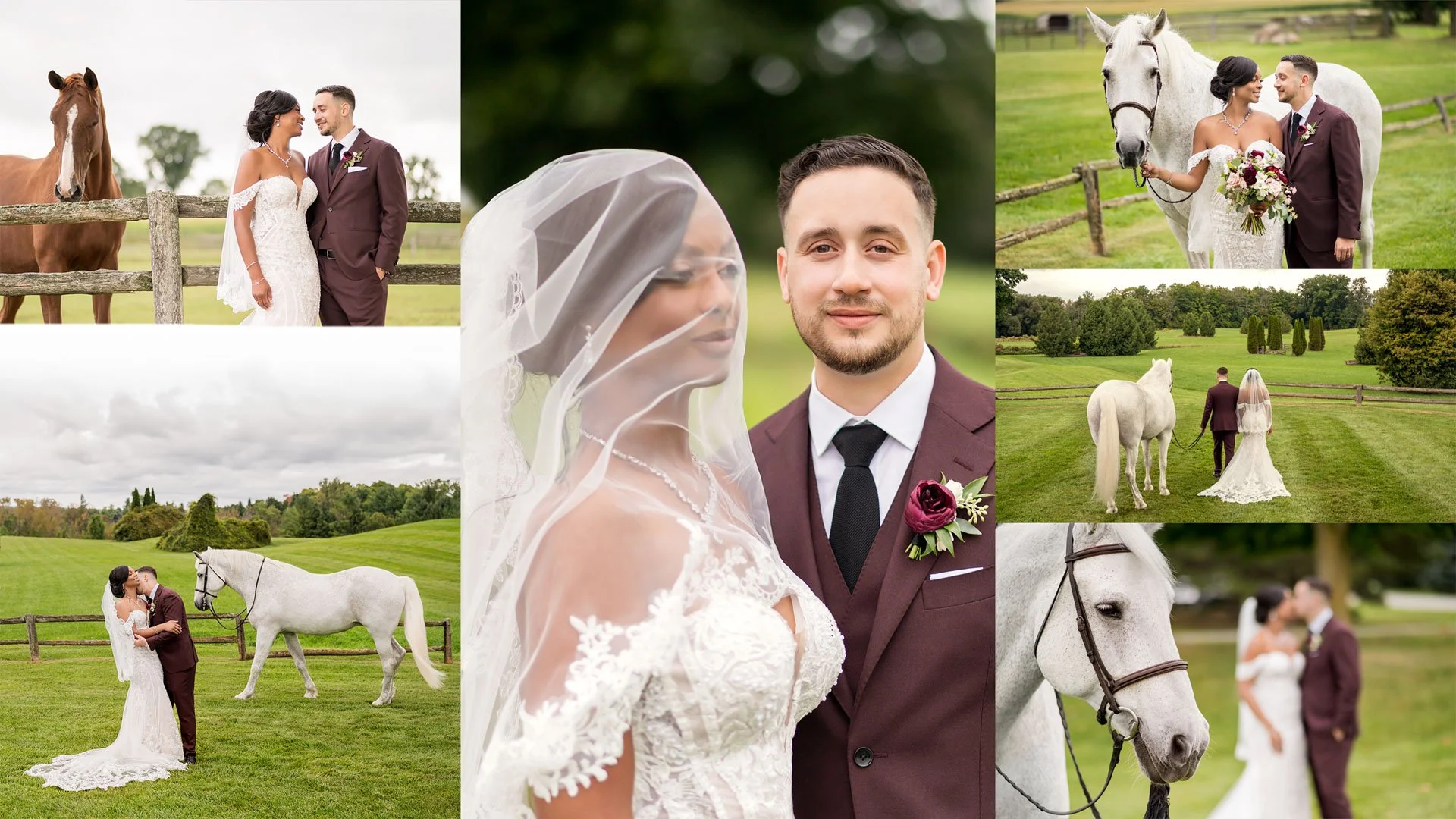 wedding photos with horses