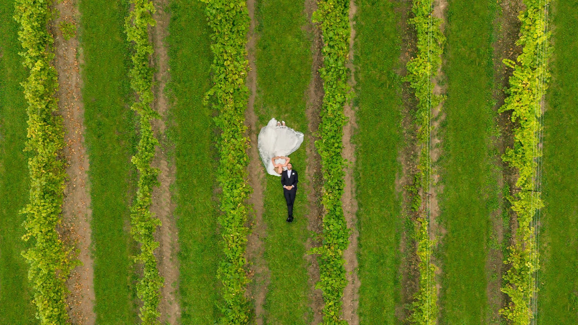 vineyard wedding Drone aerial photography
