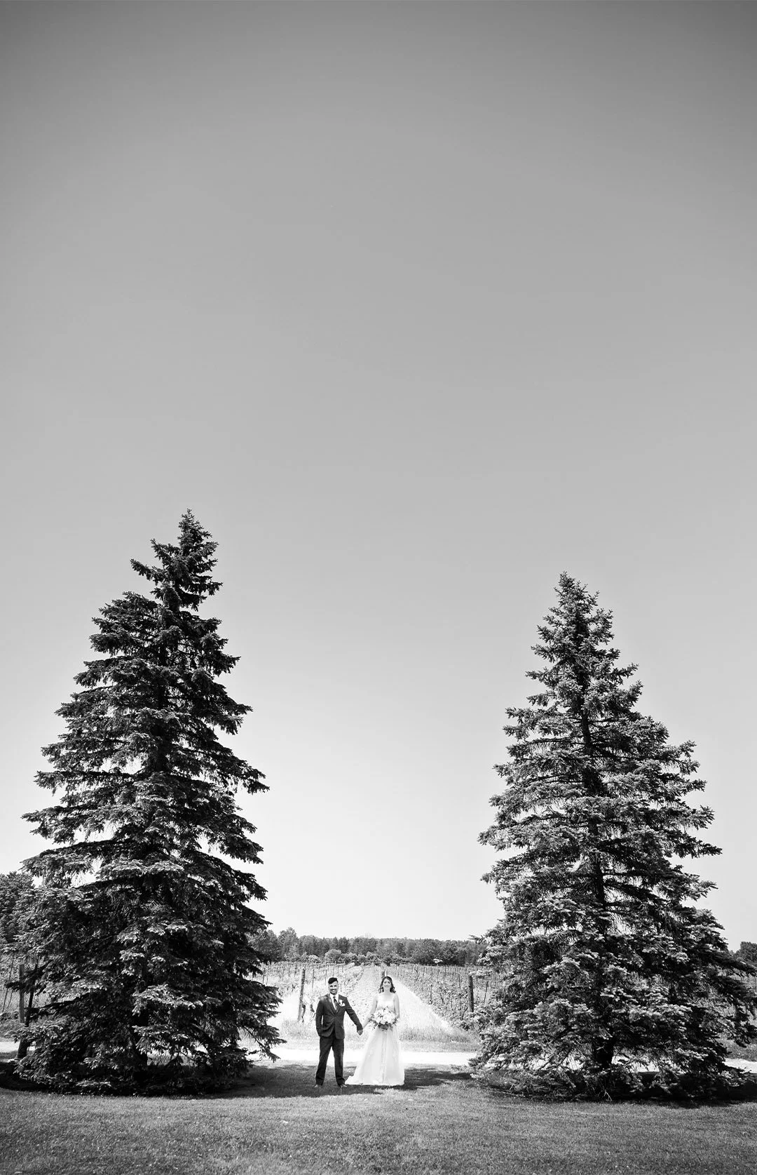 84.jpg