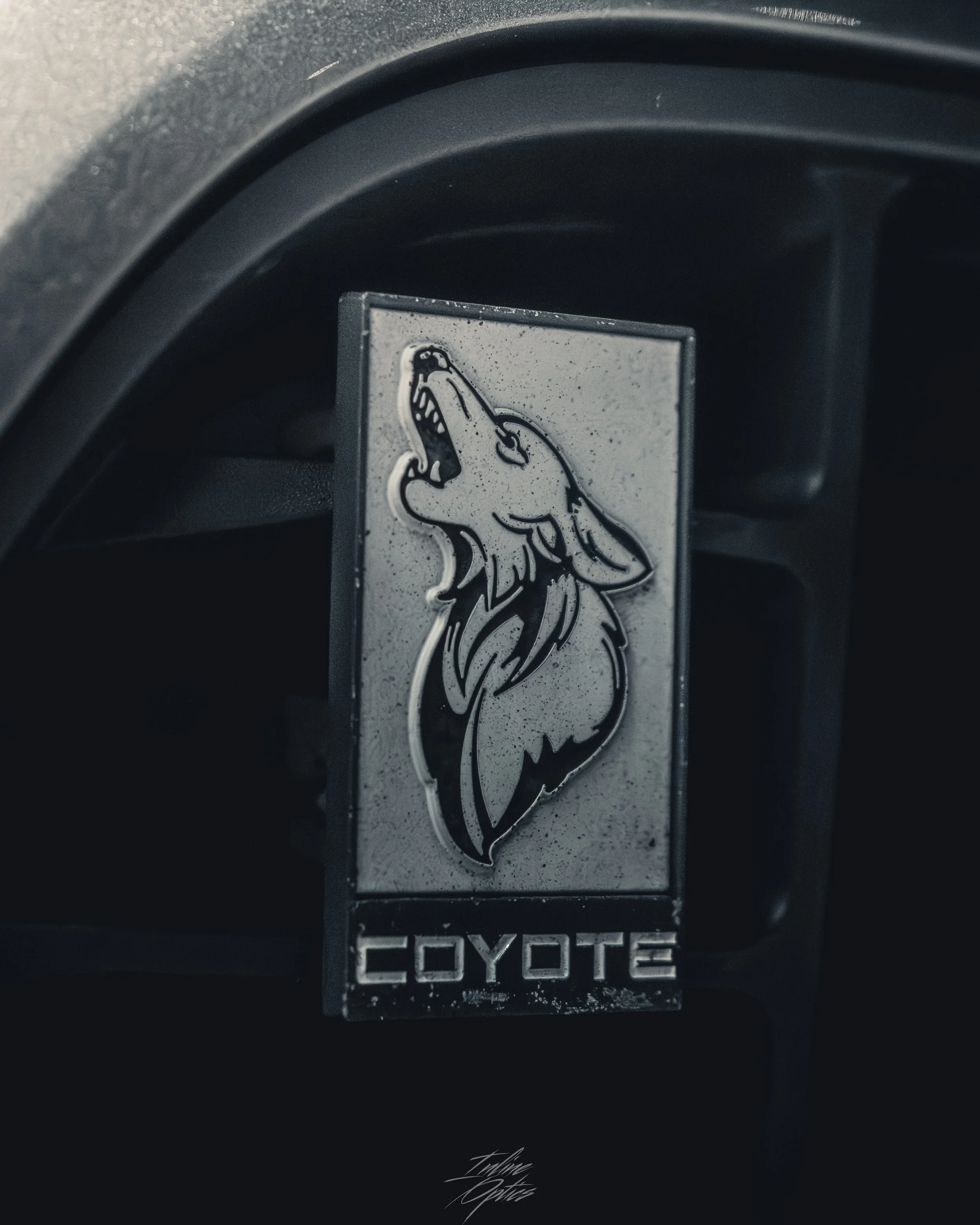 stangs-18.jpg