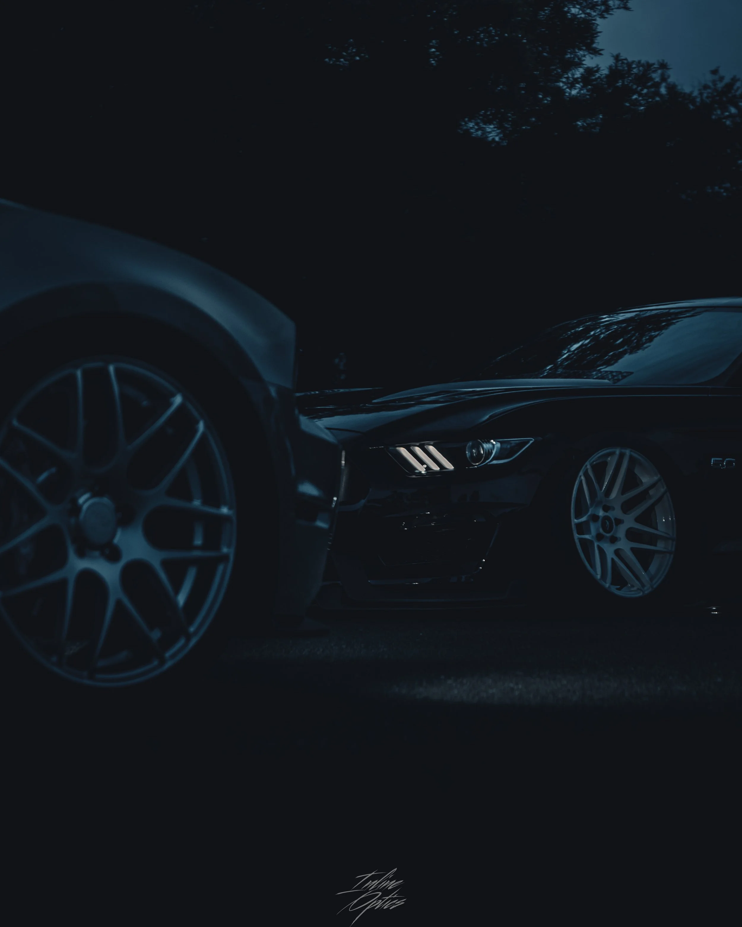 stangs-8.jpg