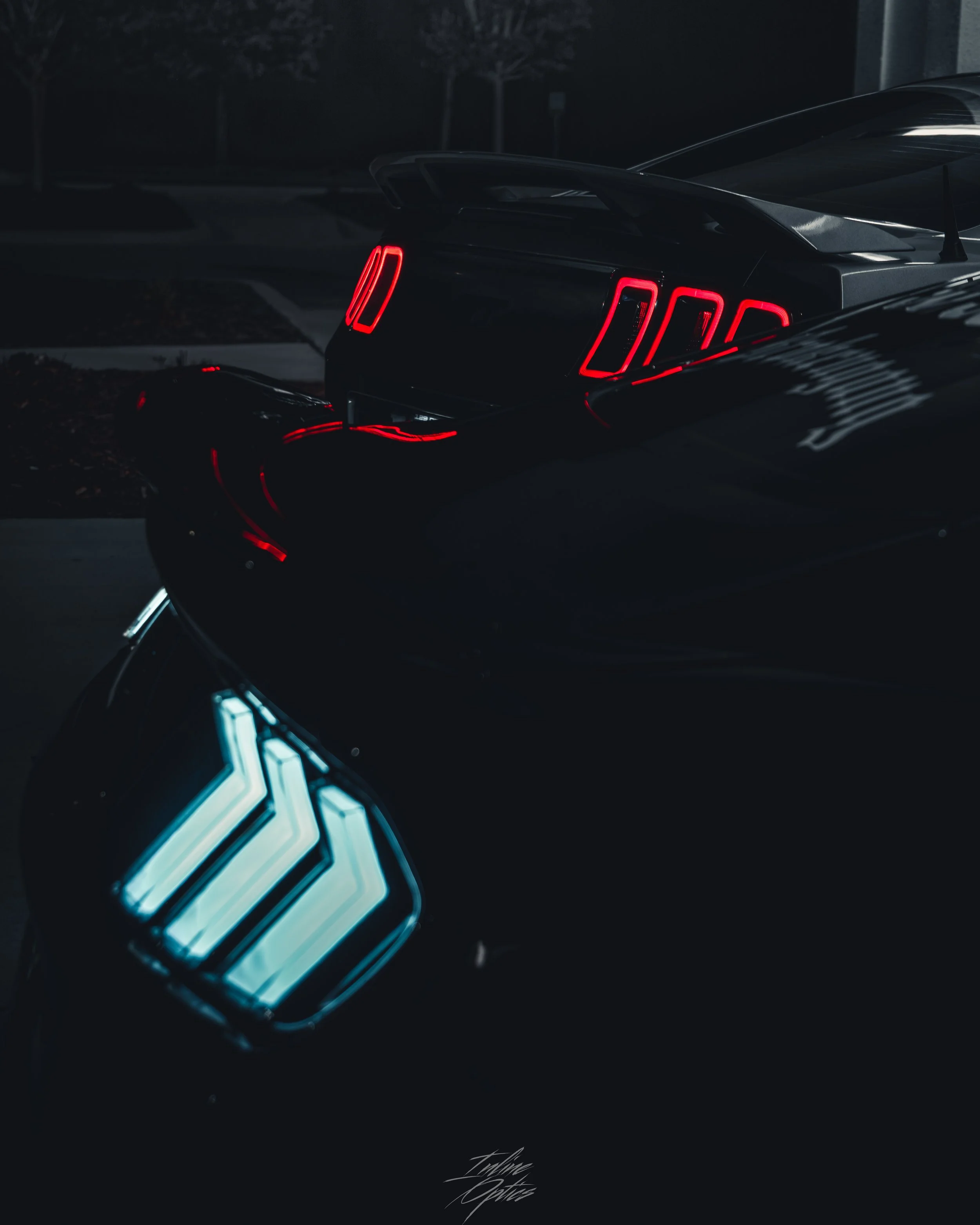 stangs-29.jpg