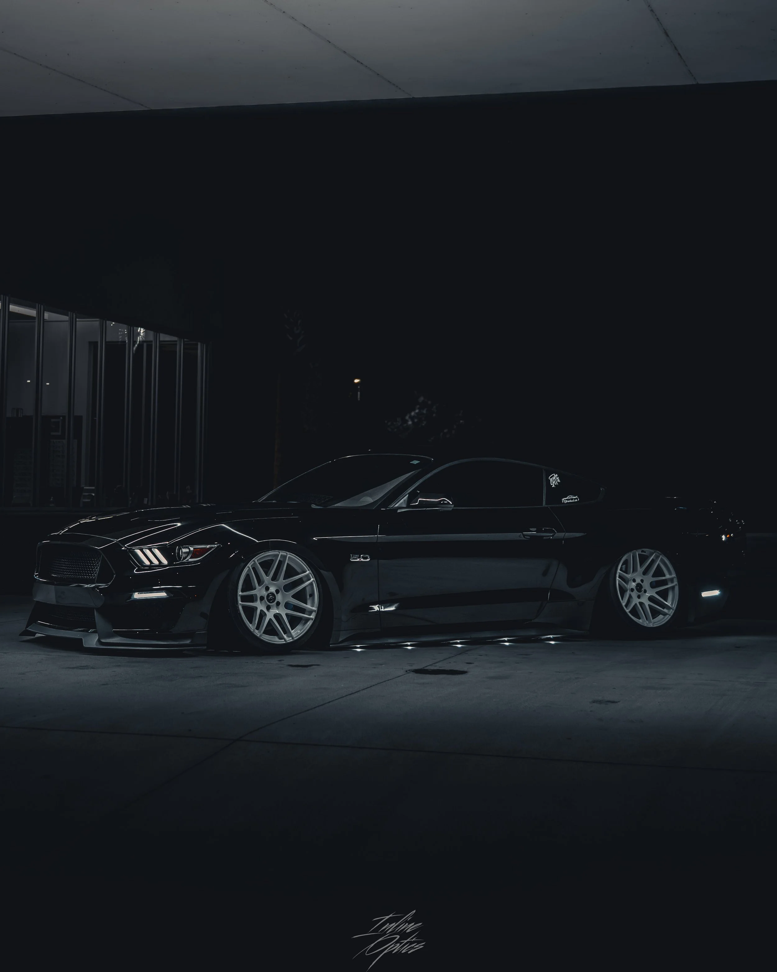stangs-24.jpg