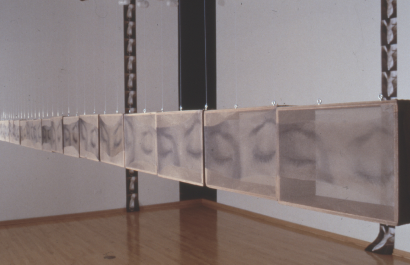 Installation View, Solo Exhibition / William A. Koehnline Gallery, Des Plaines IL / 2000