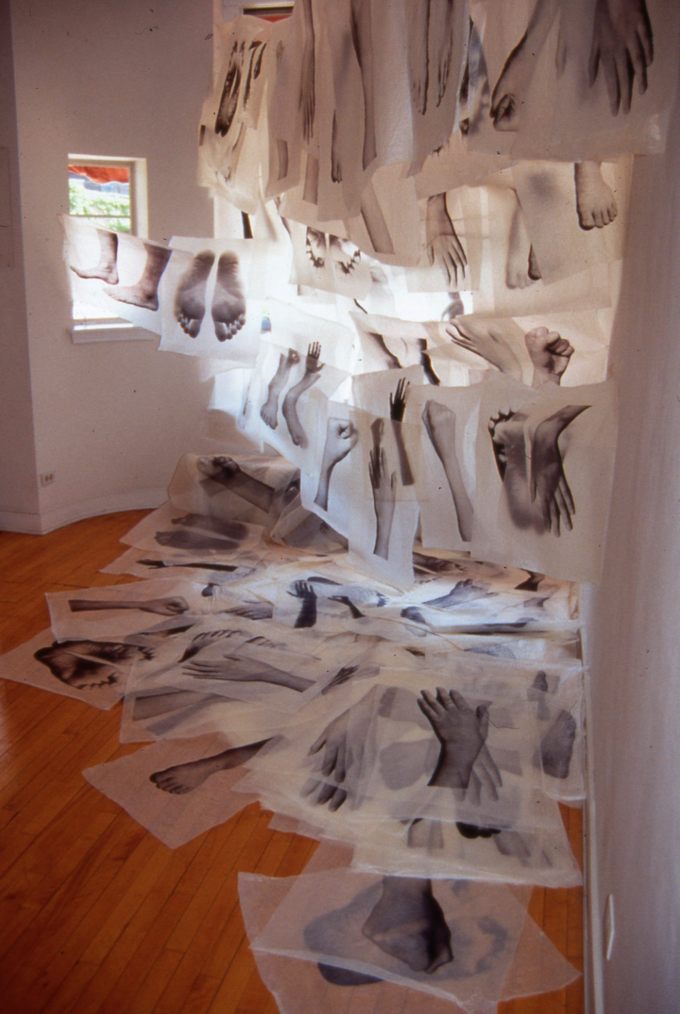 Installation View, Solo Exhibition / Riverside Art Center, Riverside IL / 2001