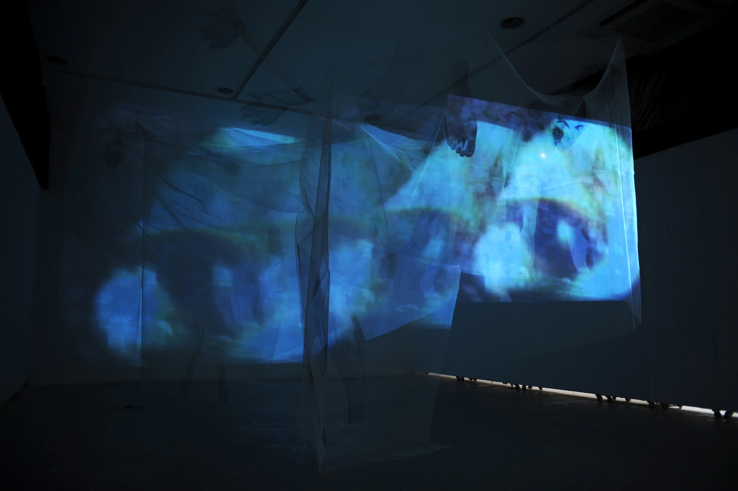 Skin+ 2006 / Video Projection (10min - looped), Light Weight Tulle