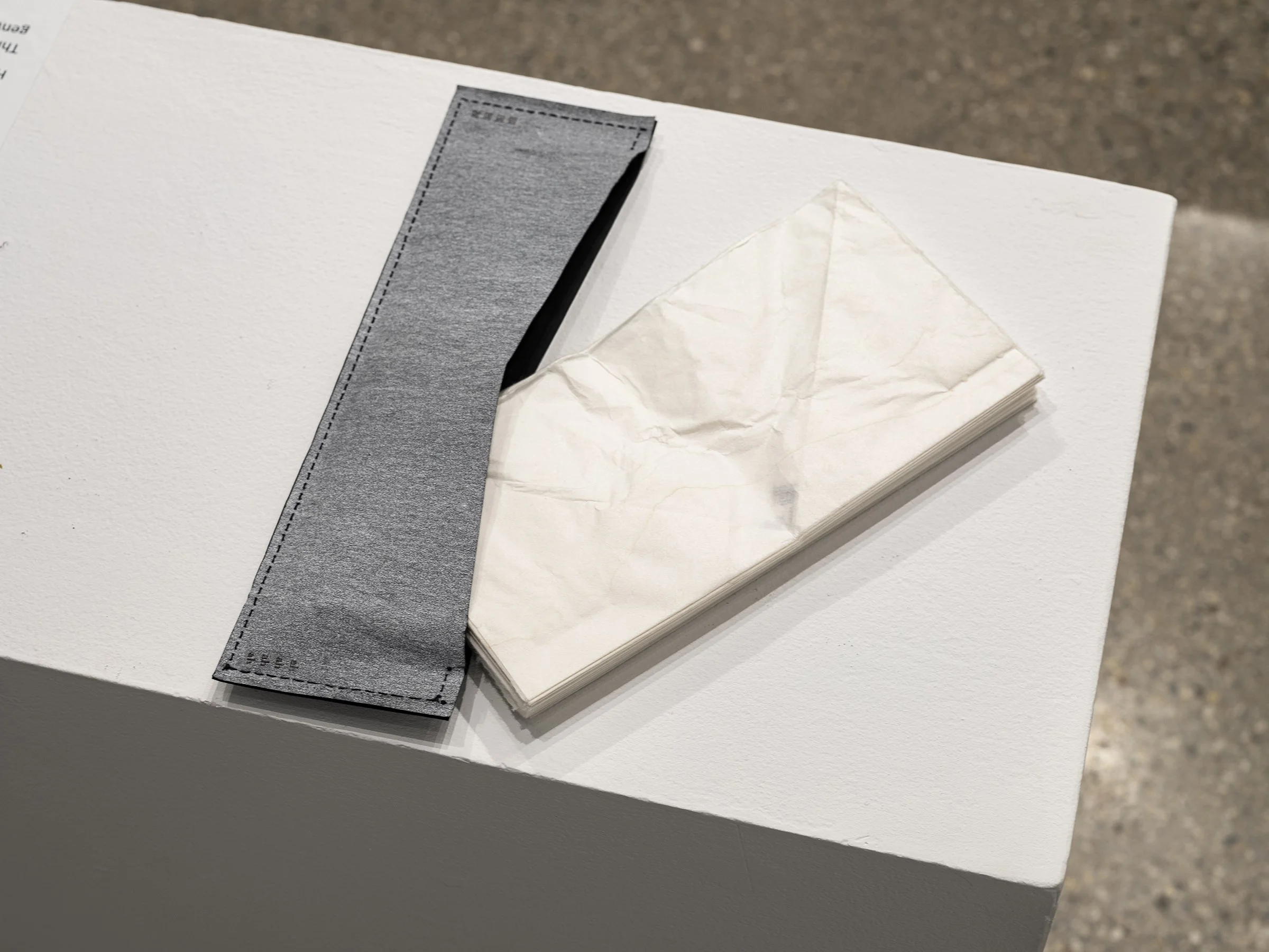 SAIC Faculty Sabbatical Triennial
2022 | Faculty Exhibition | Exhibition View | SAIC Galleries | Chicago, IL