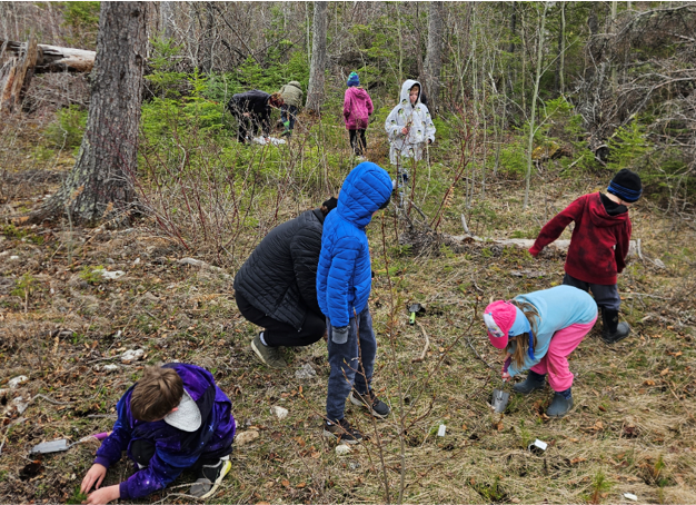 Scouts Canada Tree Plant