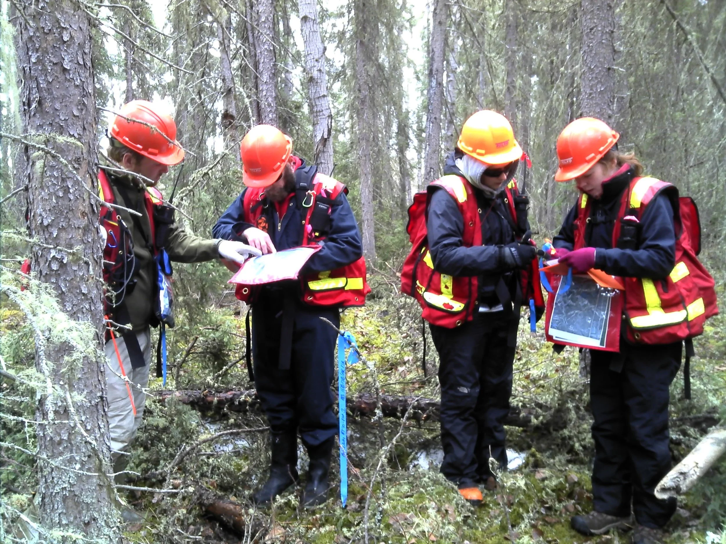 Four forestry workers in orange helmets and safety gear are in a forest, reviewing maps and documents.