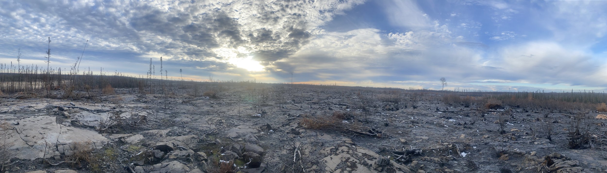 Burned Area Assessments