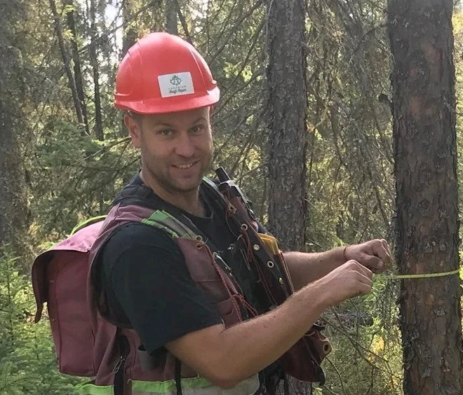 A man wearing a red safety helmet and outdoor gear is measuring a tree with a tape measure in a forest.