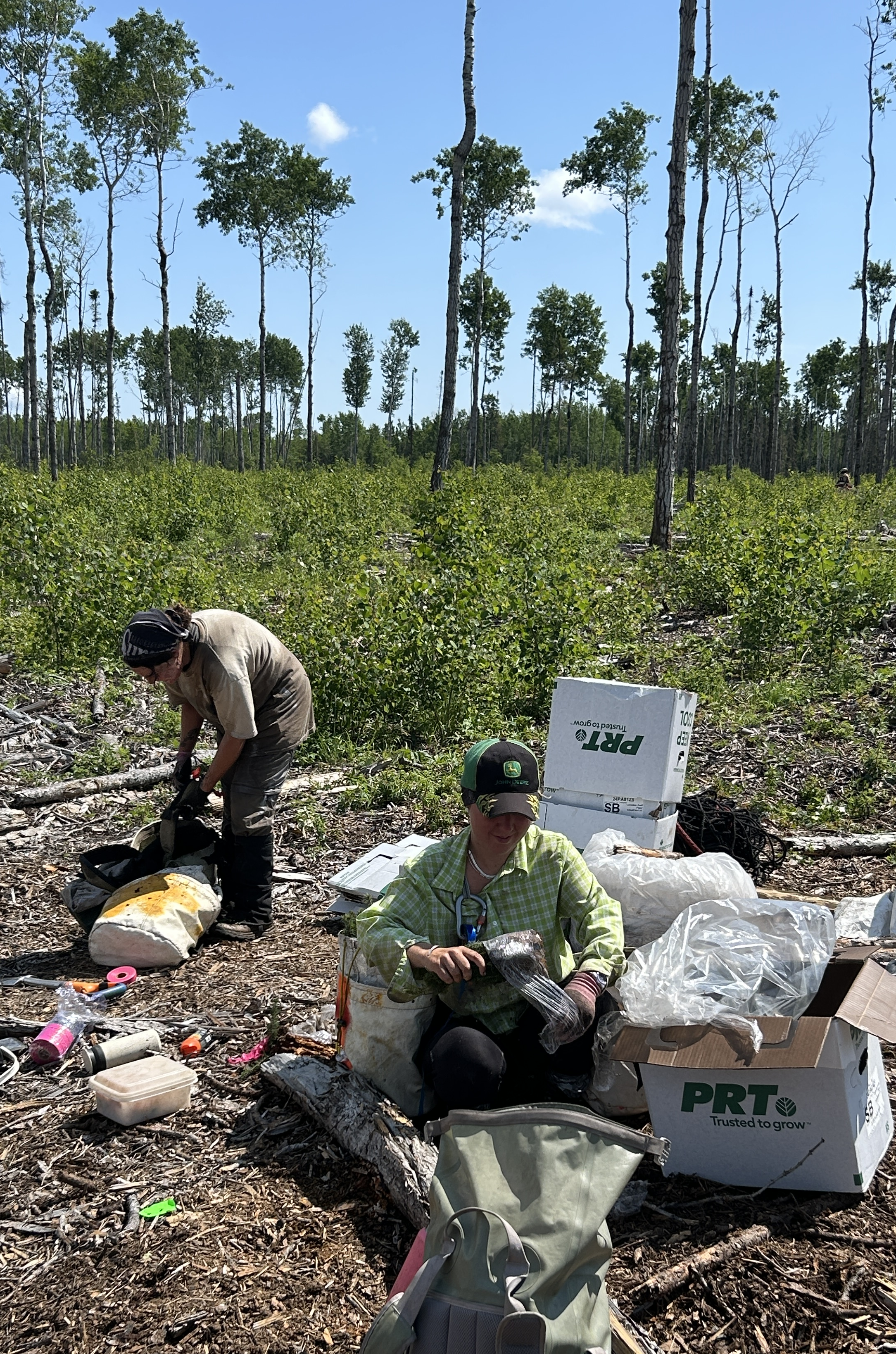 2 Billion Tree Program