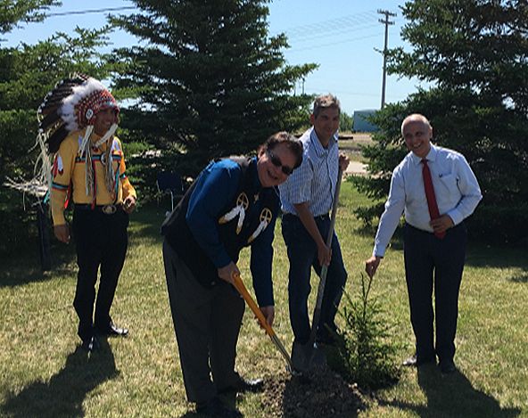 Four men planting a small tree in a grassy area with trees and power lines in the background.