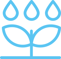 irrigation