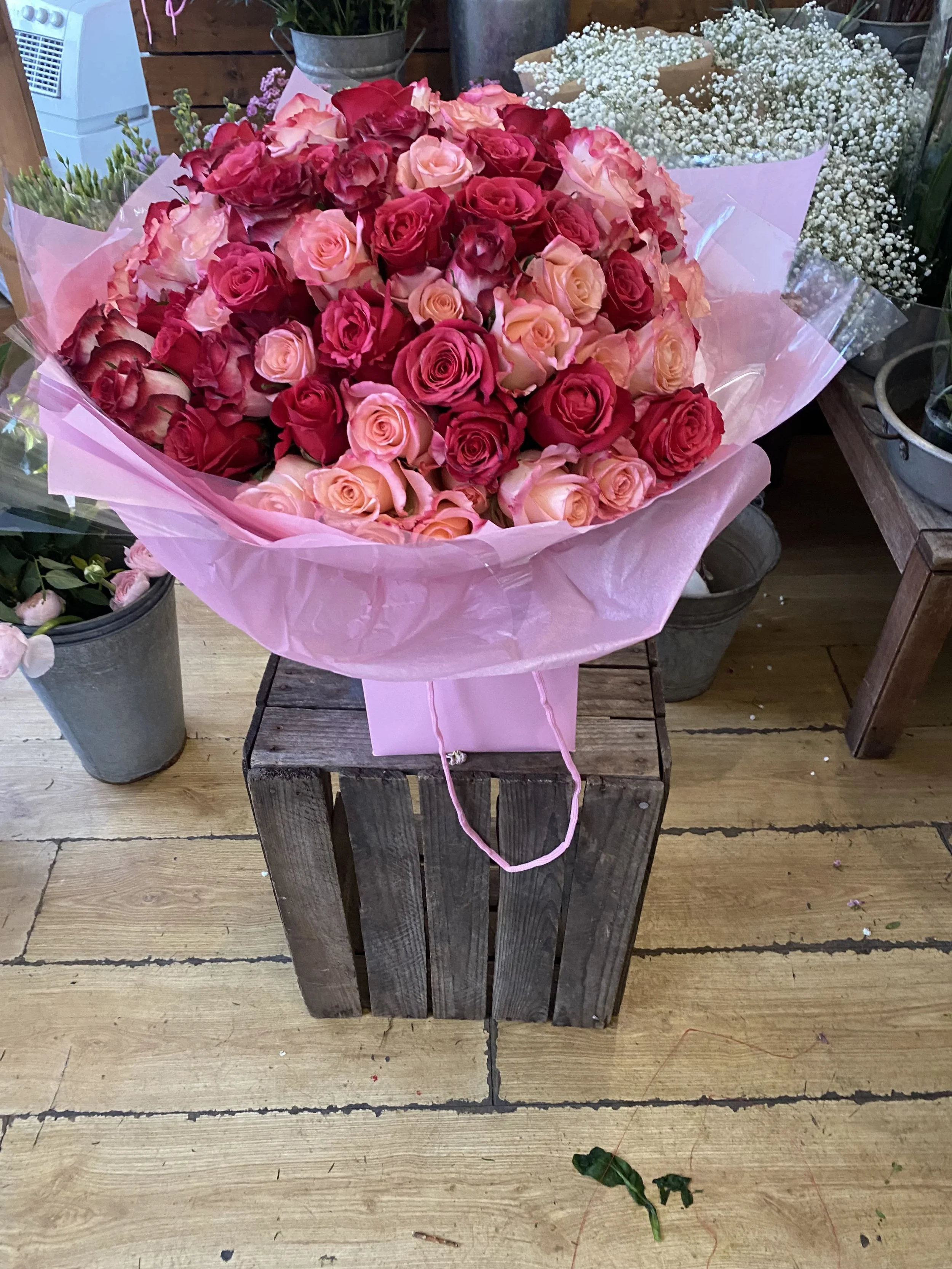 100 roses pink red.jpg