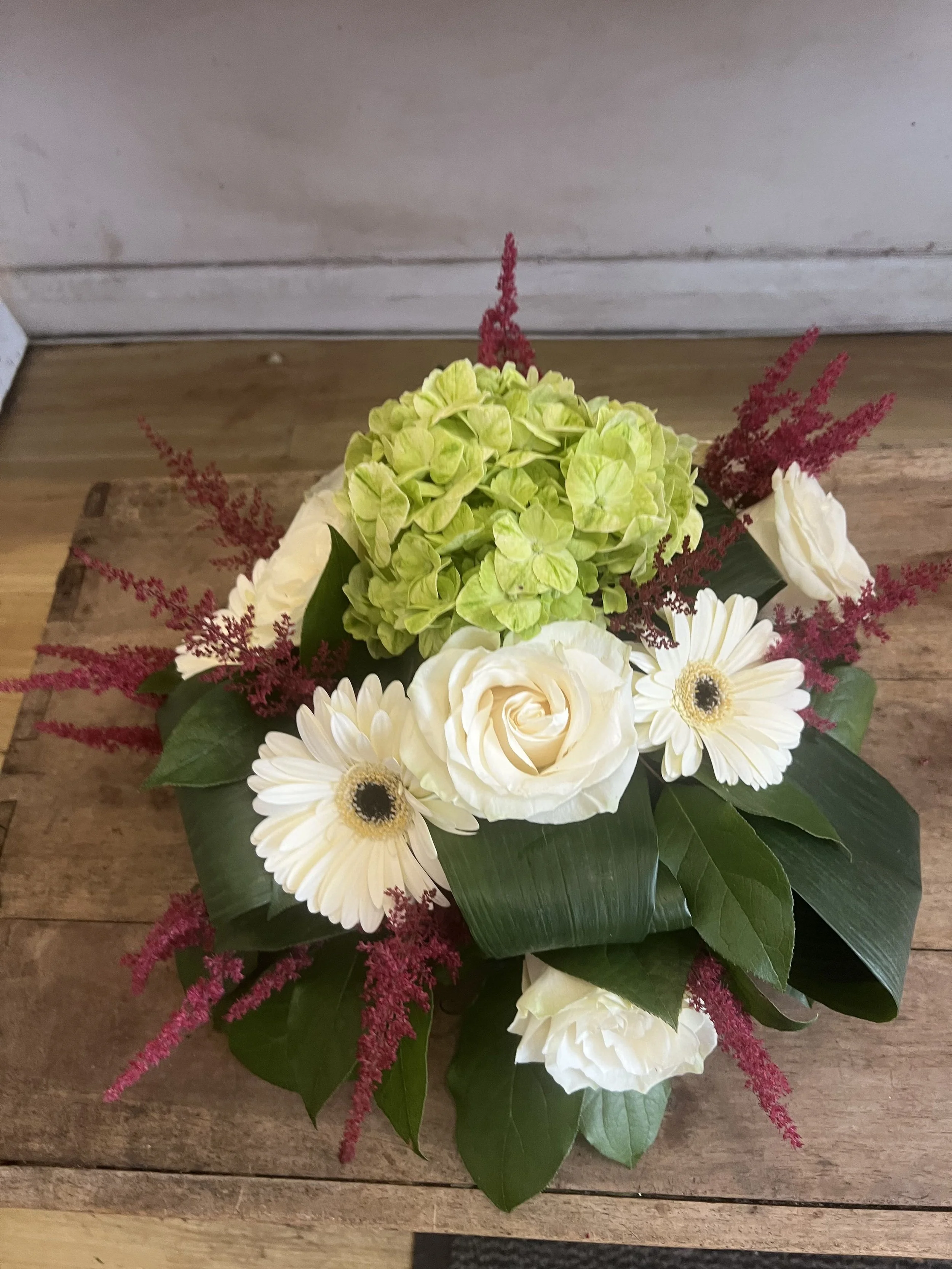 Gerbera Posie