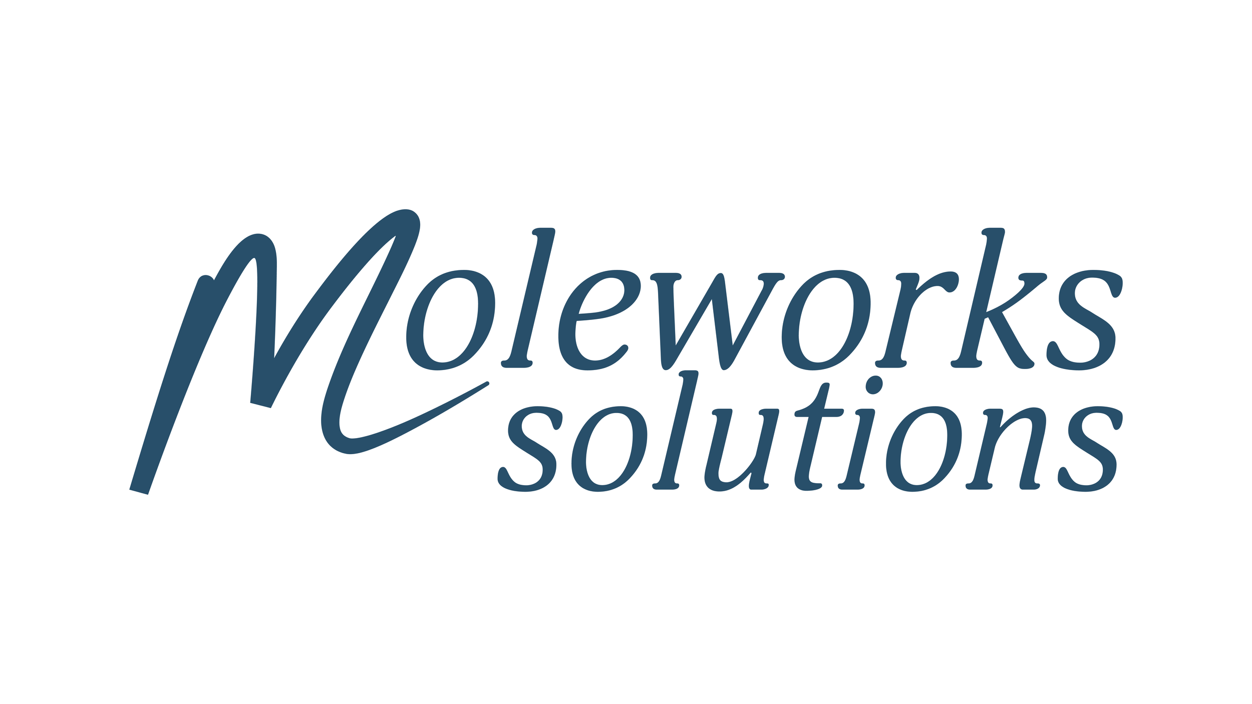 Moleworks Solutions logo, written in a dark blue