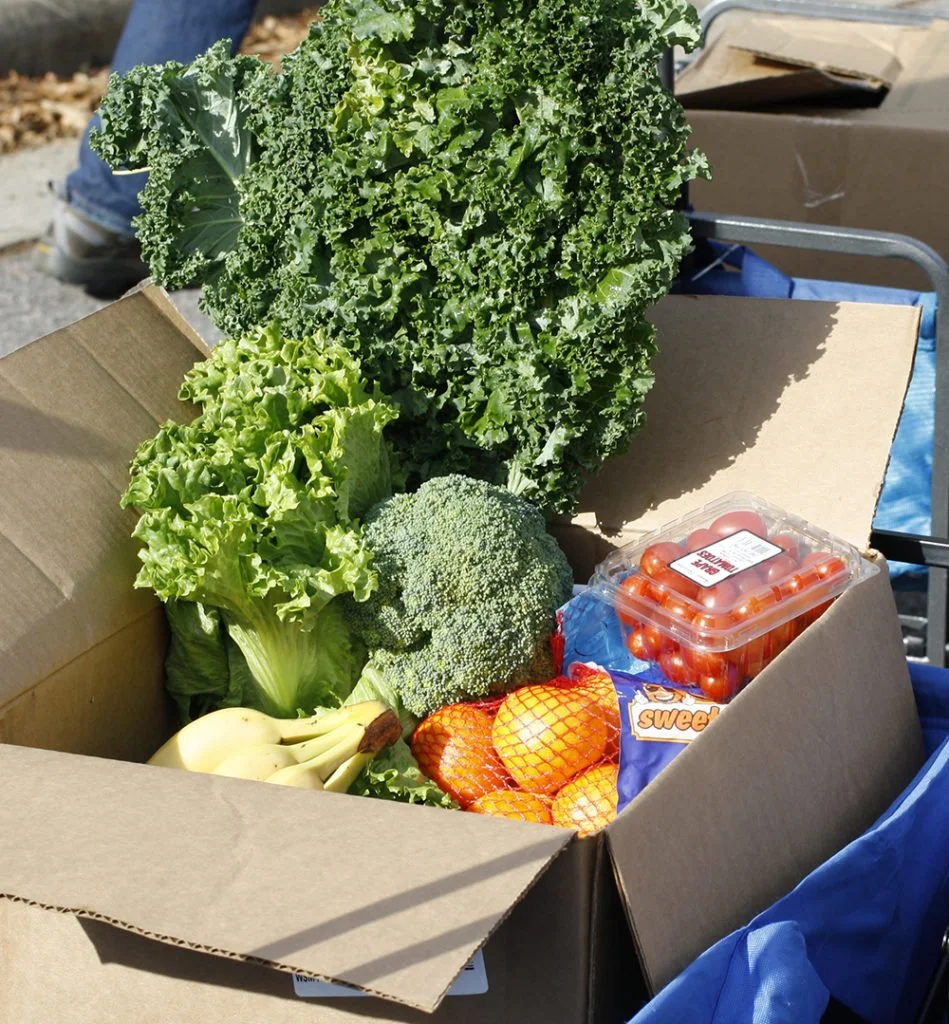 FoodShare Box for August 19th