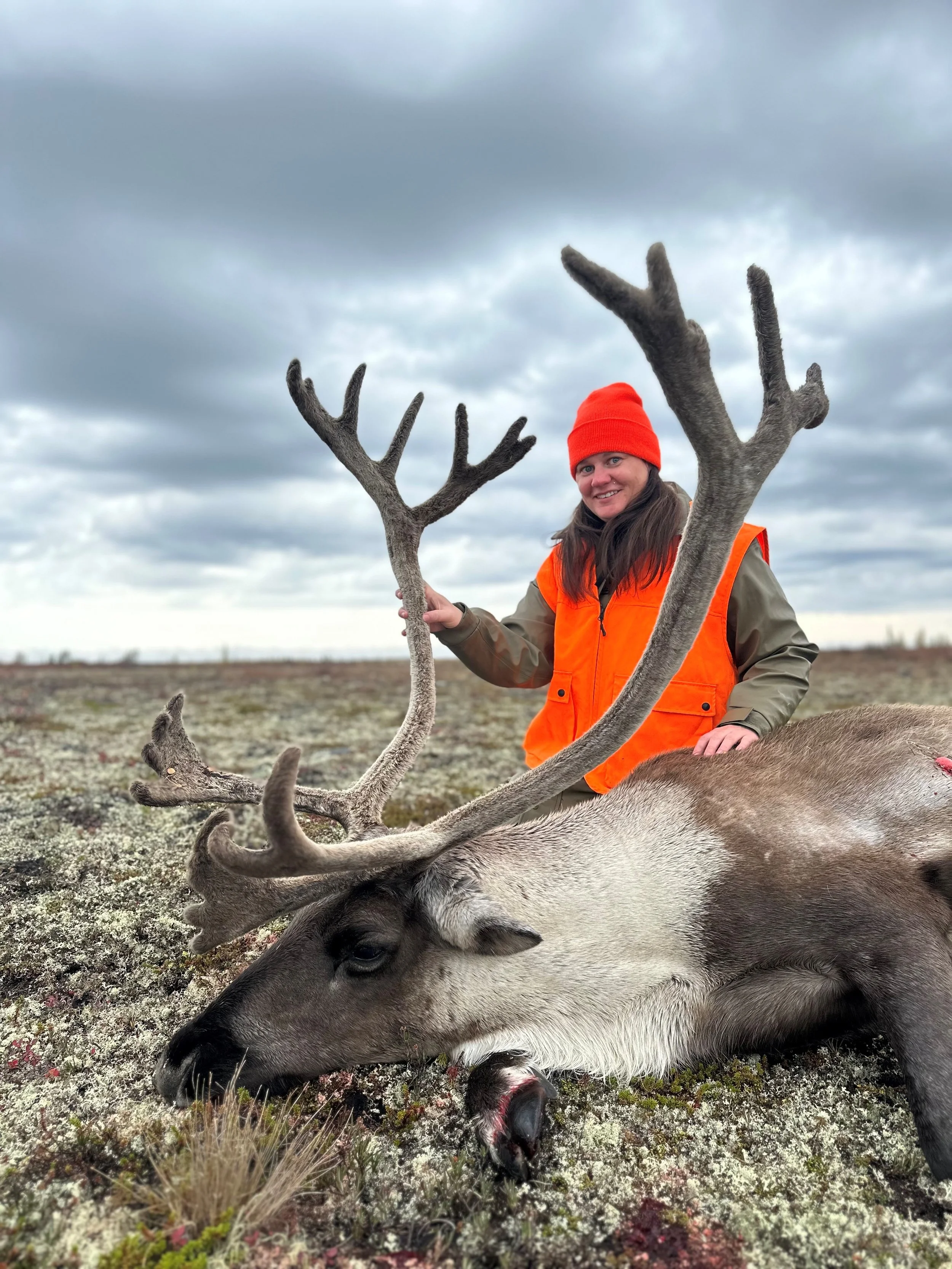 Stephanie Reling 2024 Caribou.jpg
