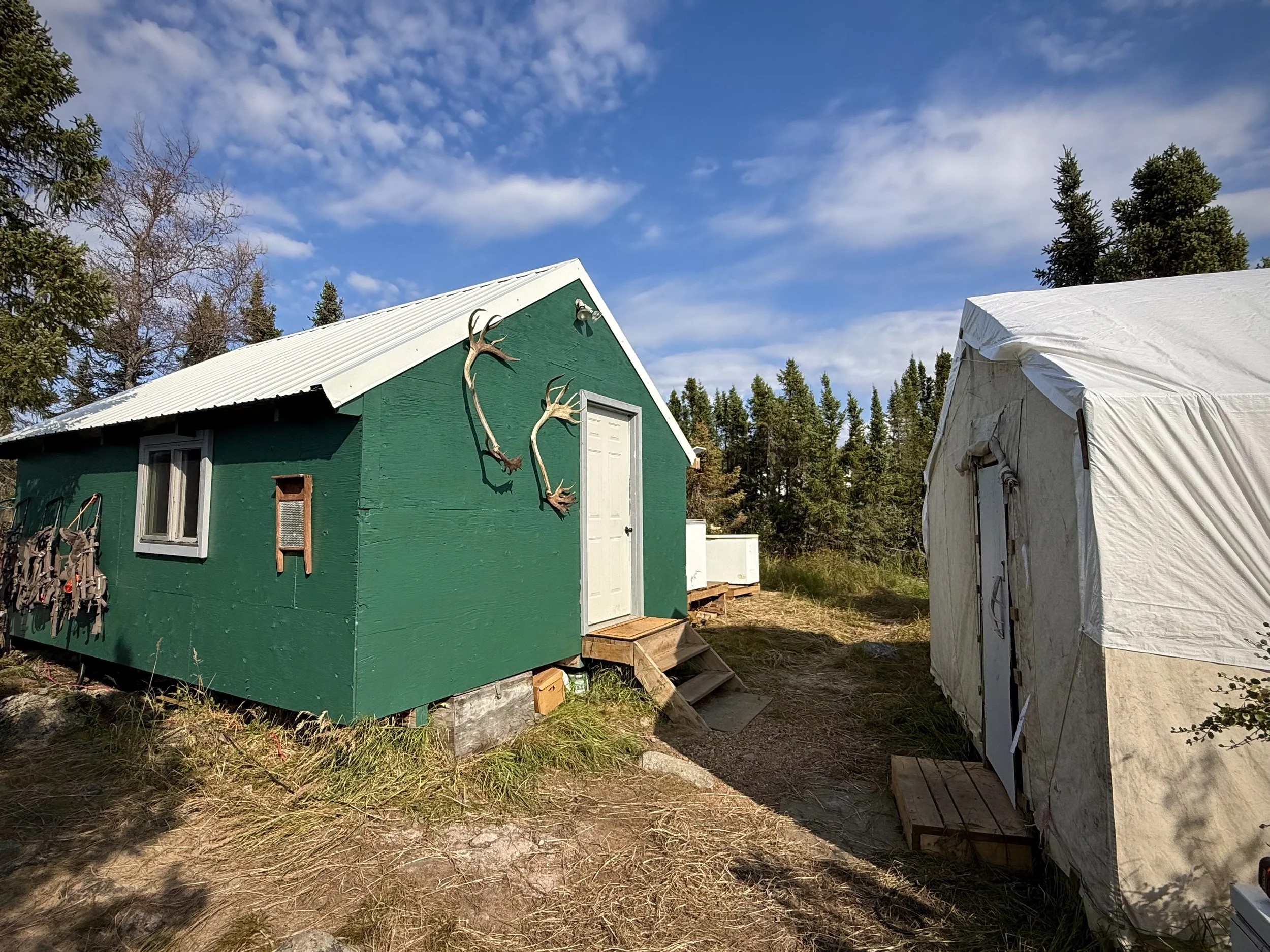 Camp Set Up