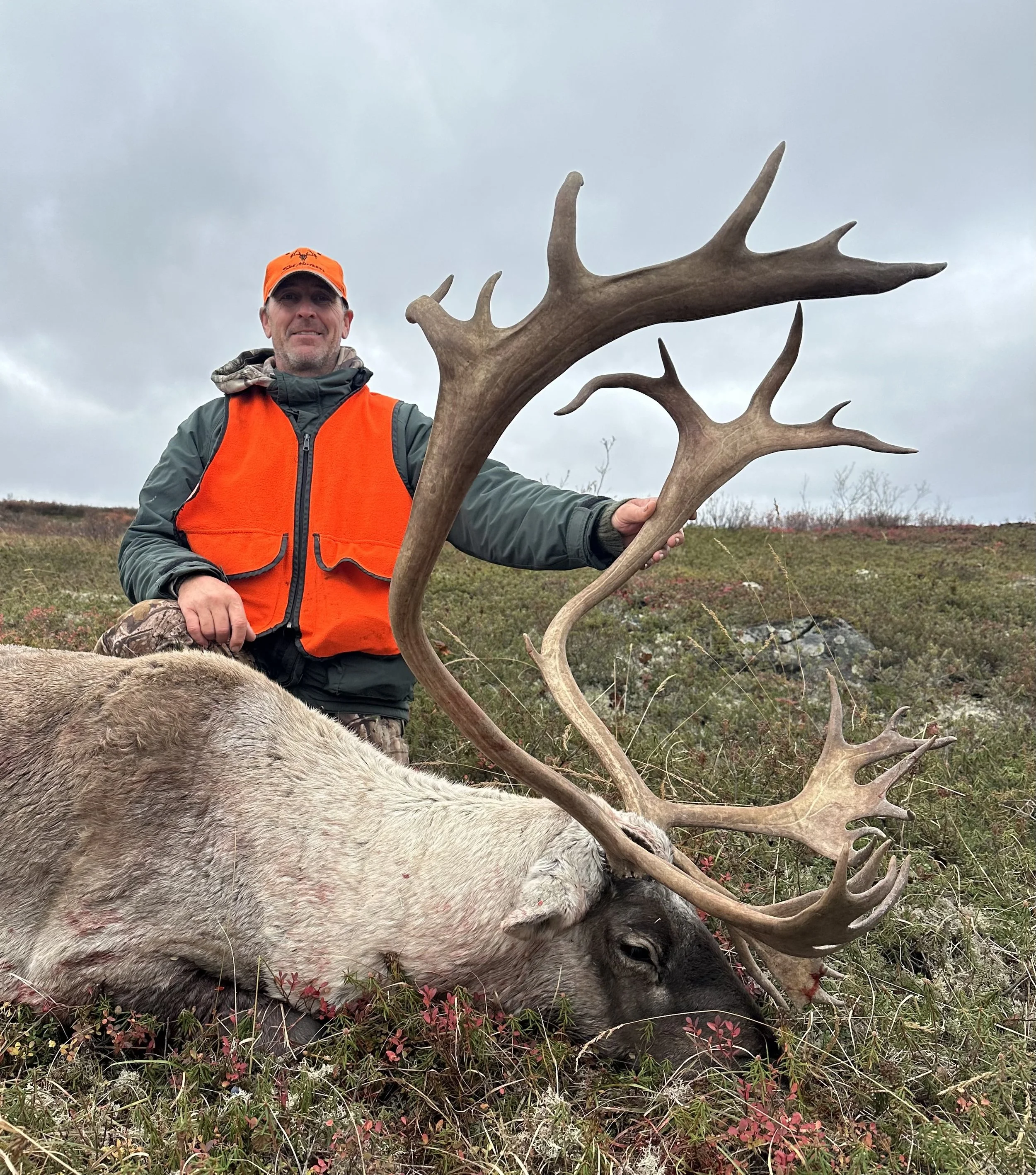 Robert Law 2024 Caribou.jpeg