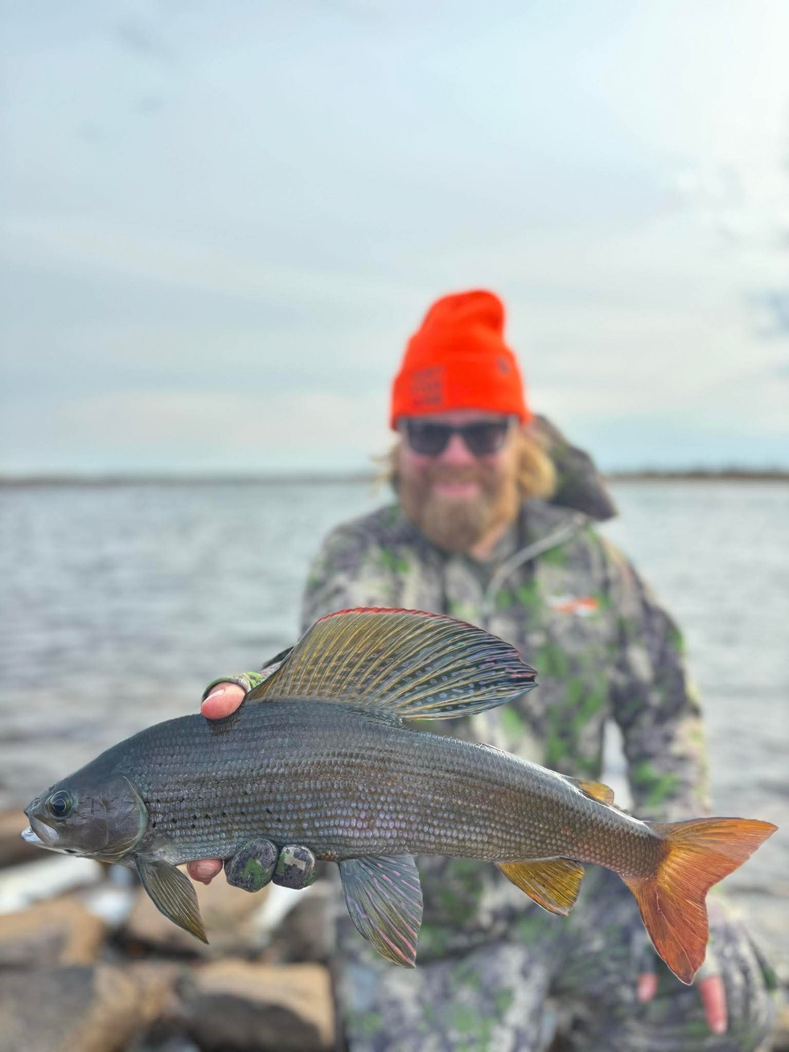 Dakota M Arctic Grayling.JPG