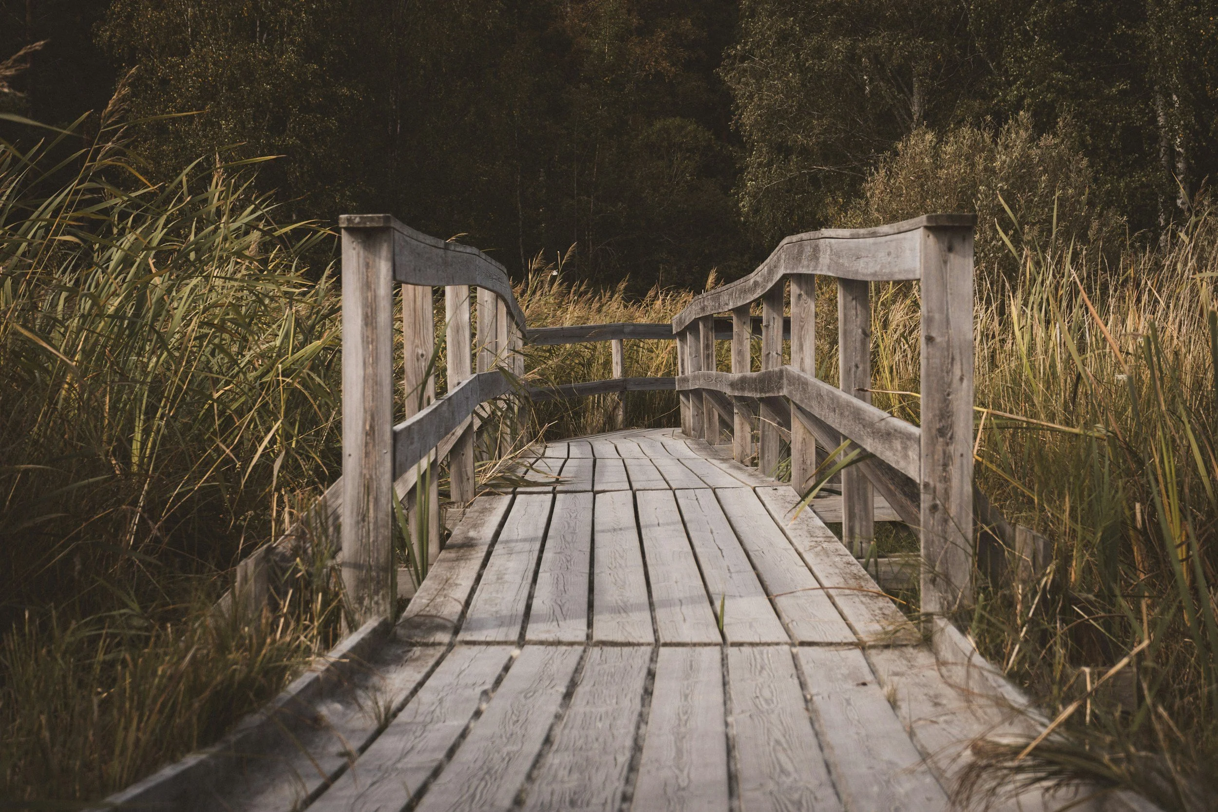 Setting Intentions as a Bridge