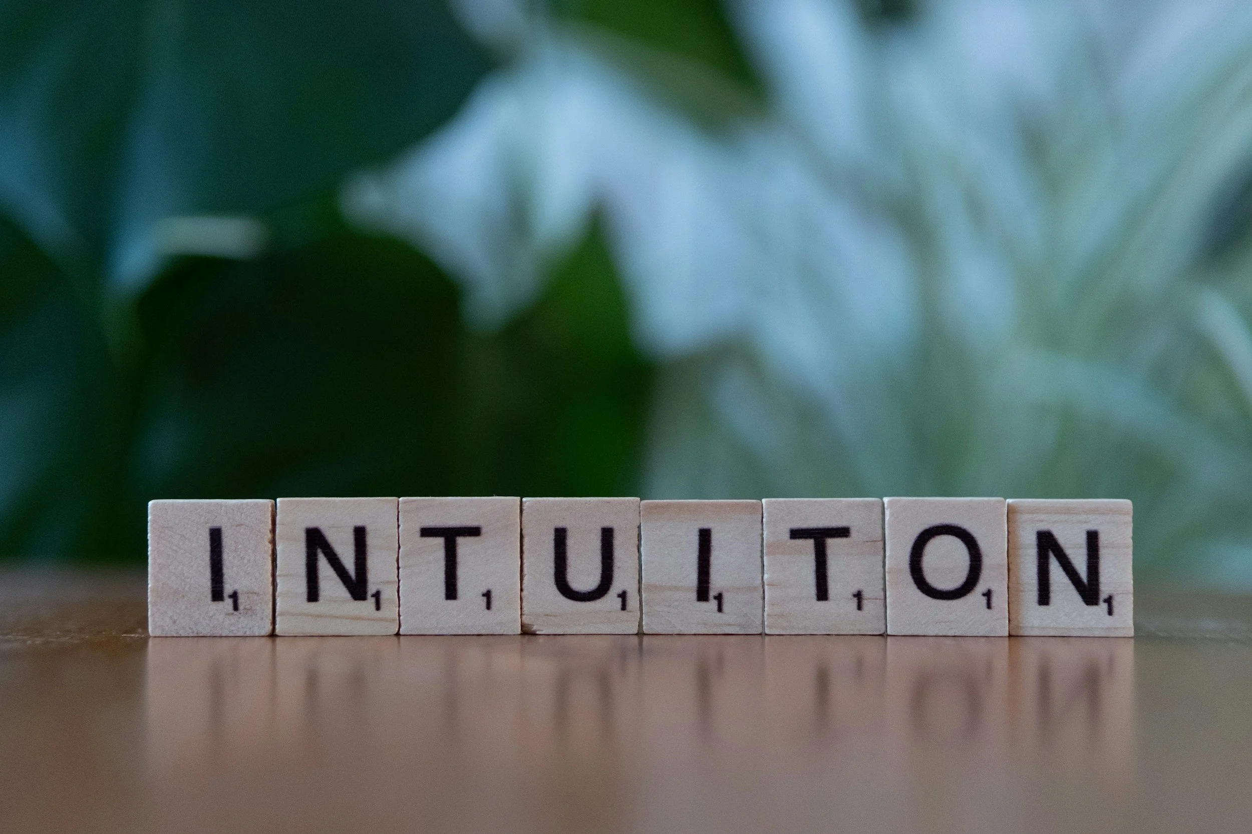 Our Bodies Went  to Intuition School. We Didn’t.