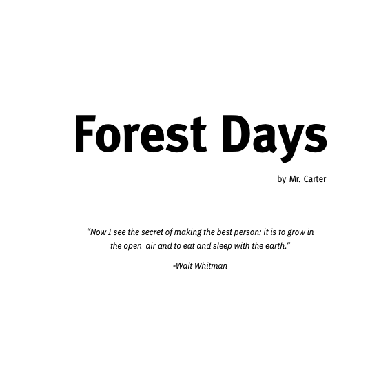 Forestdays2.png