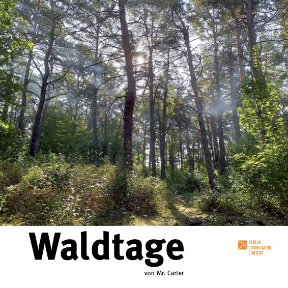waldtage1.png