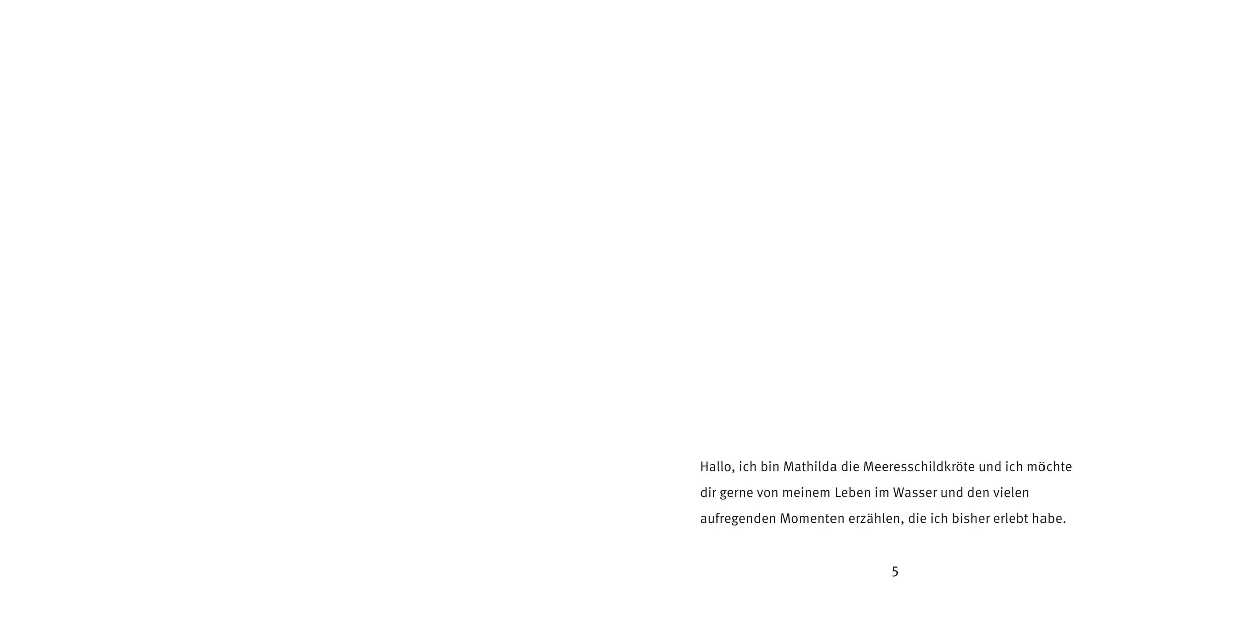 Mathilda_de_nur erste Seiten-3.jpg