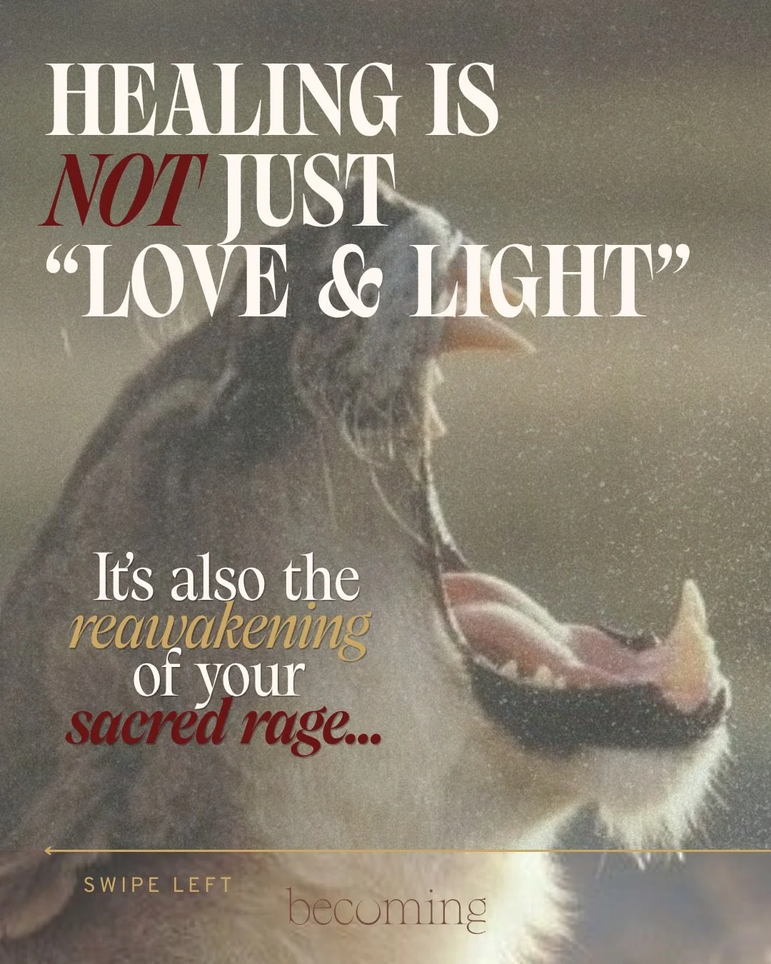 📣 Most people I know go through an unexpected &ldquo;rage phase&rdquo; a few years into their healing journey. 

It&rsquo;s the moment where they start to realize&hellip; hey wait &mdash; 

That was messed up. 
I didn&rsquo;t deserve that. 
They sho