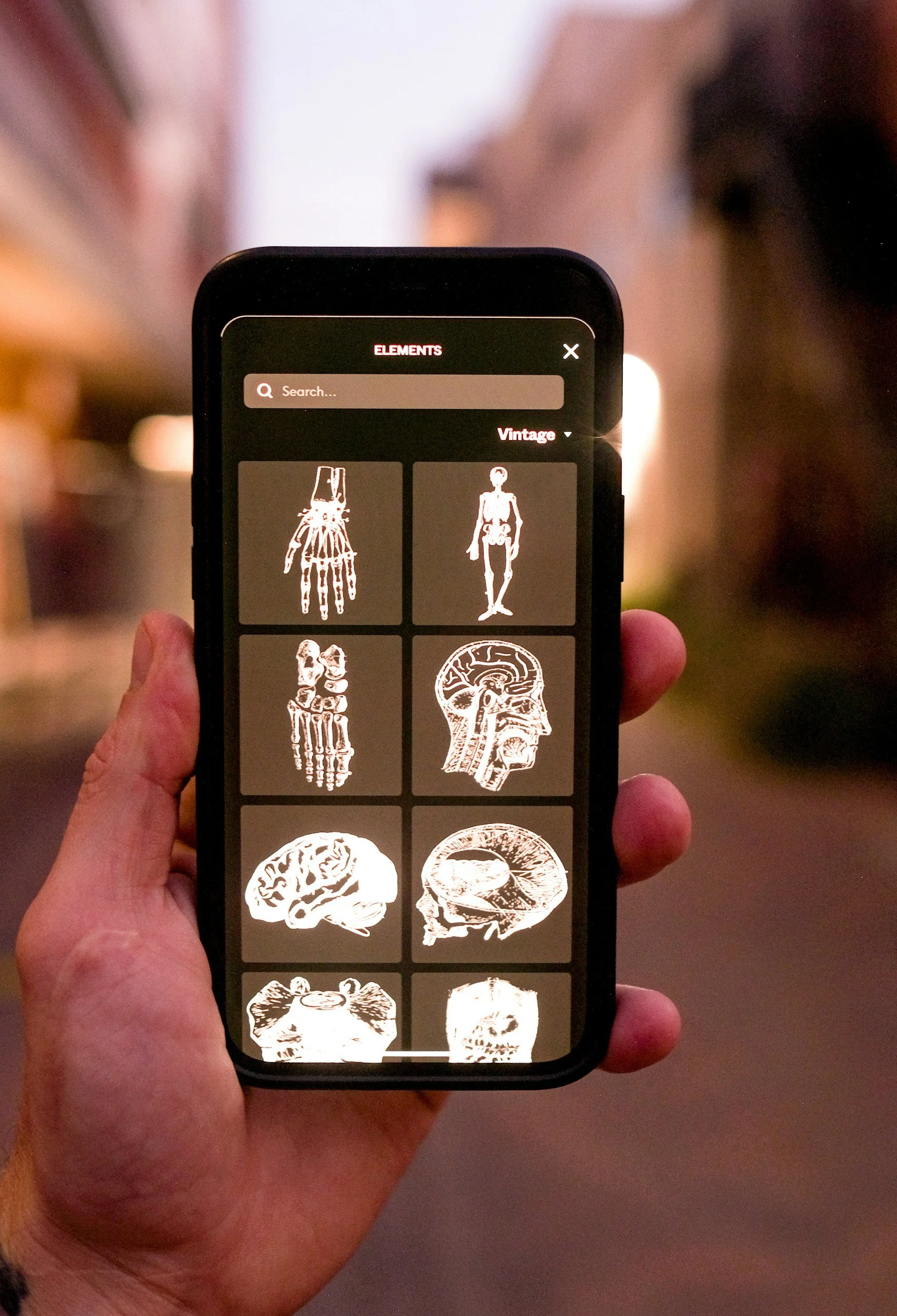 Person holding a smartphone displaying a digital art app with vintage-style illustrations of anatomical and scientific drawings of human body parts and head.