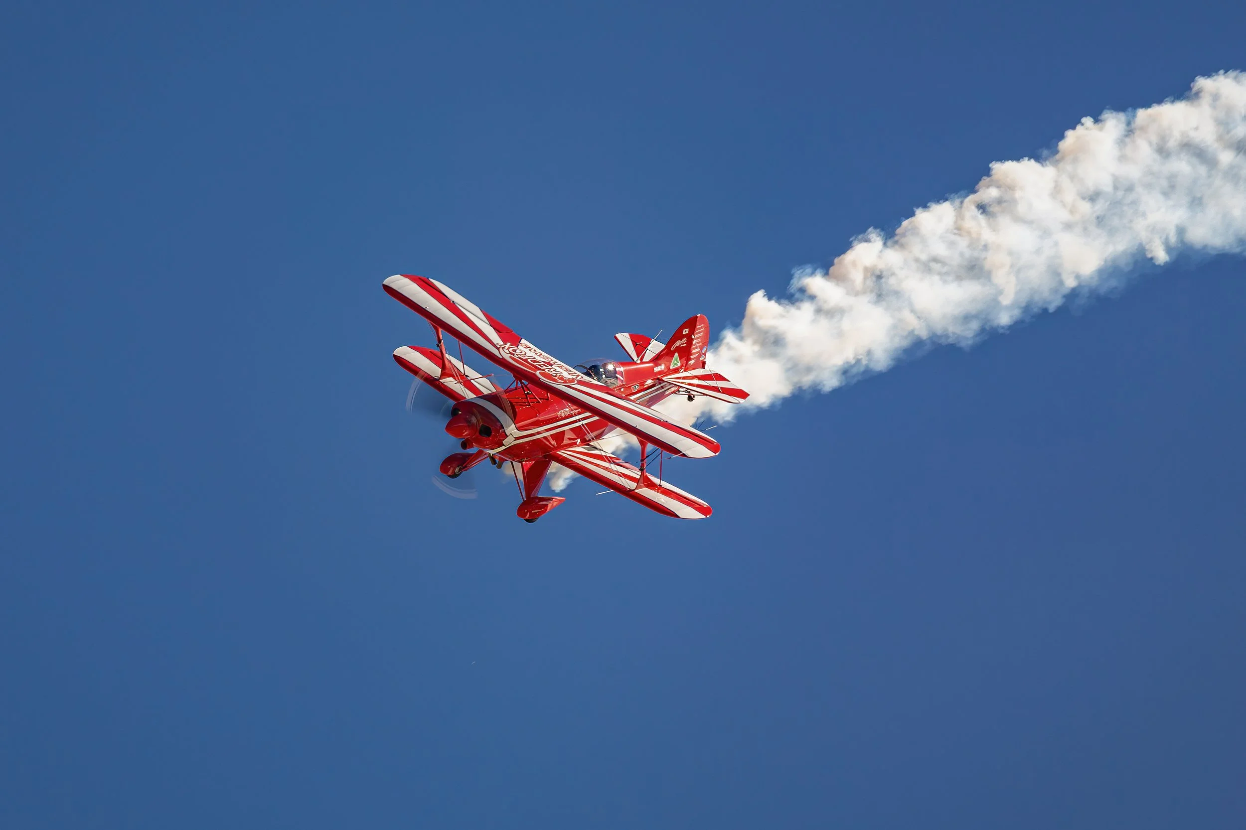 Photo by Brian Dobson_Redfox 12.jpg