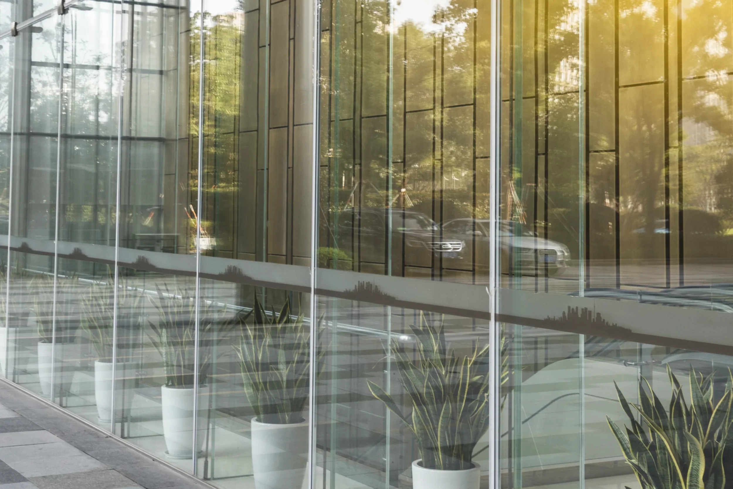 Interior view of a modern building with large glass windows, reflecting trees and parked cars outside. Potted plants are aligned along the window.
