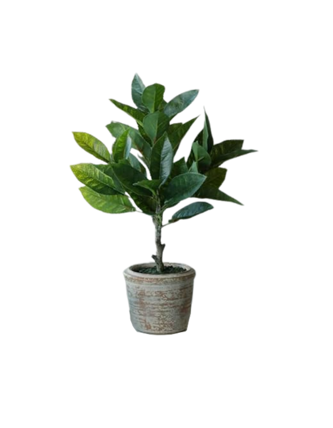 Home Simply Curated (700 x 900 px) (3).png